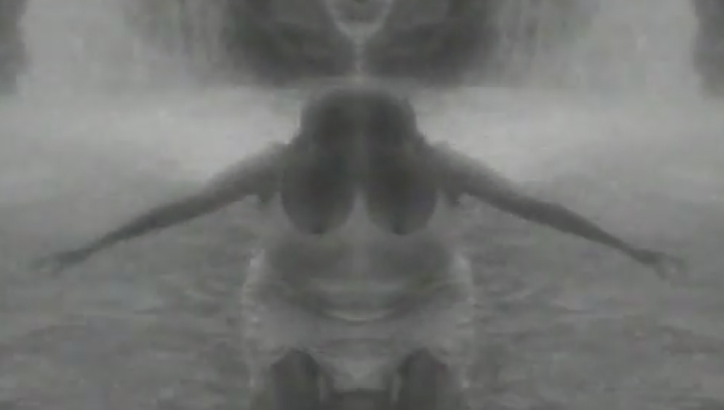 The Volture NWO music video