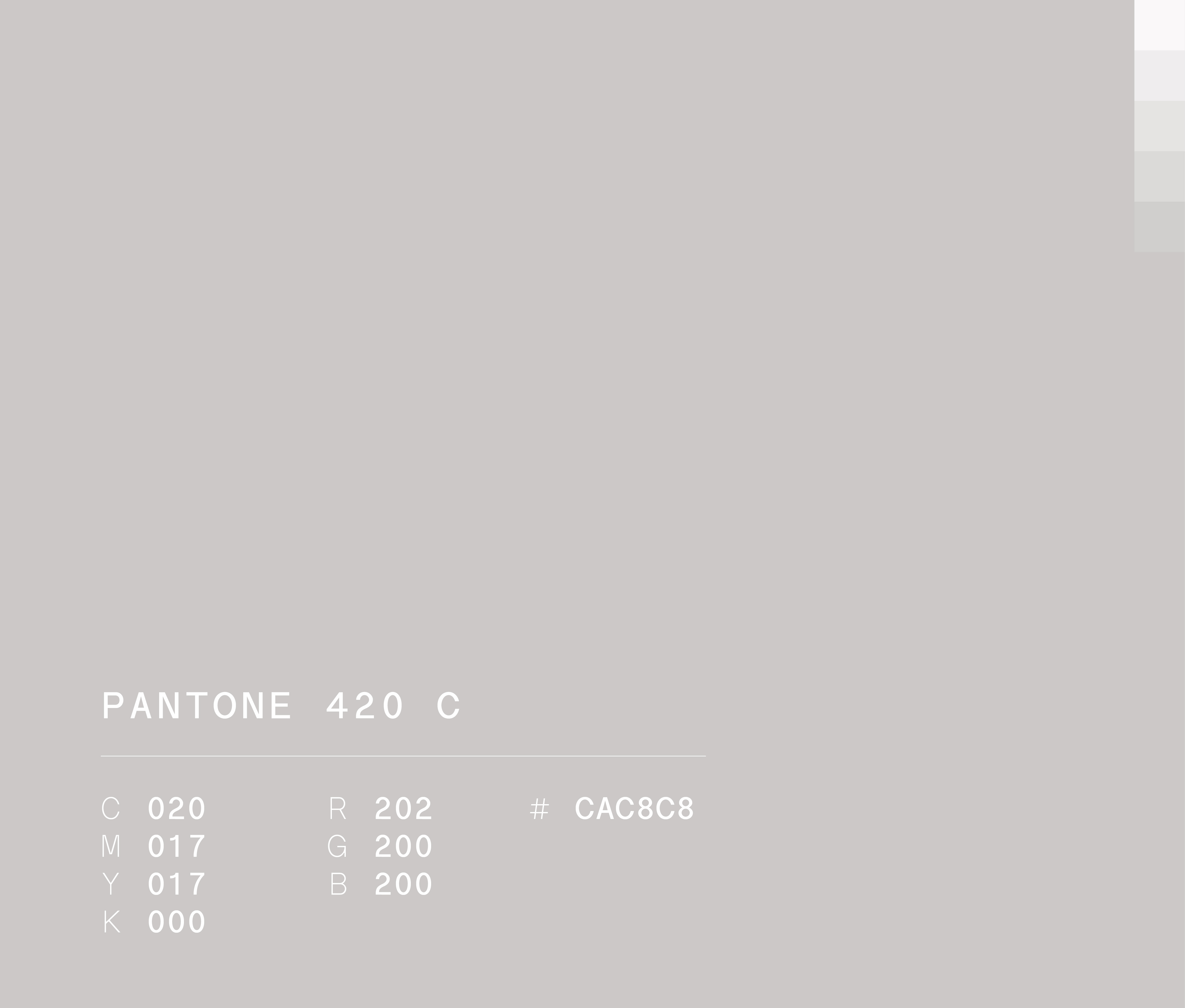 Pantone 427