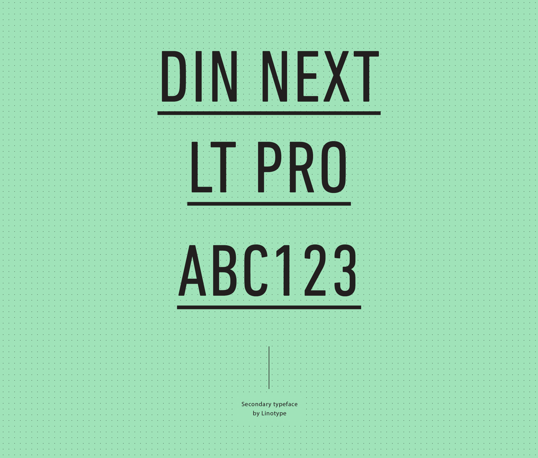 Din next lt pro typography font used in Chipinque’s National Park brand identity