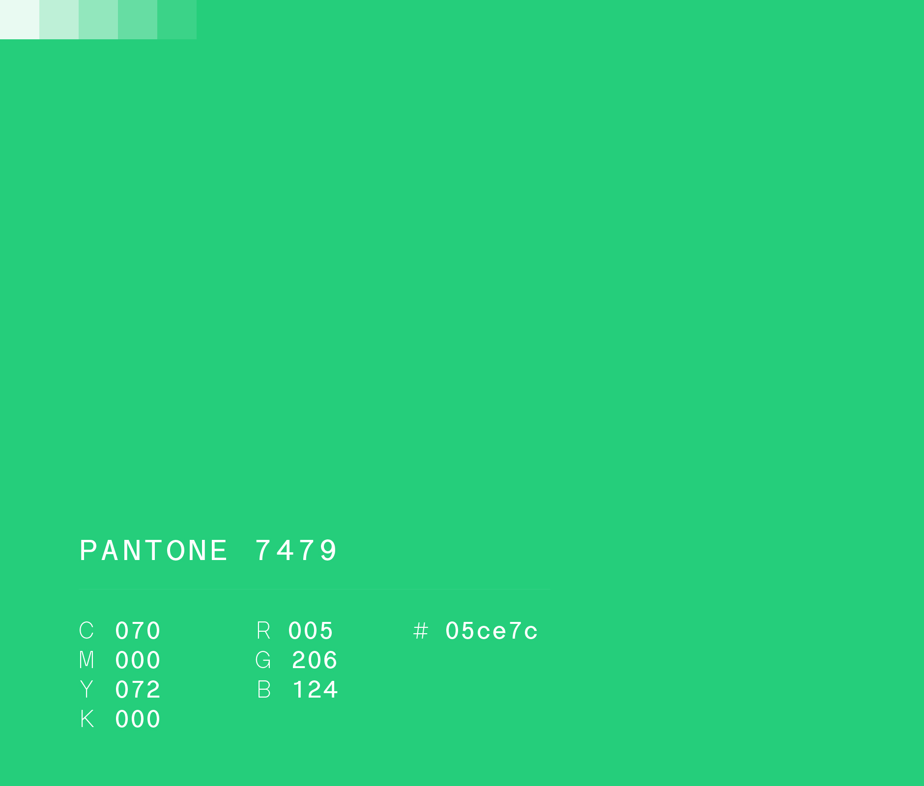 Pantone 7479 used in CECVAC school brand identity