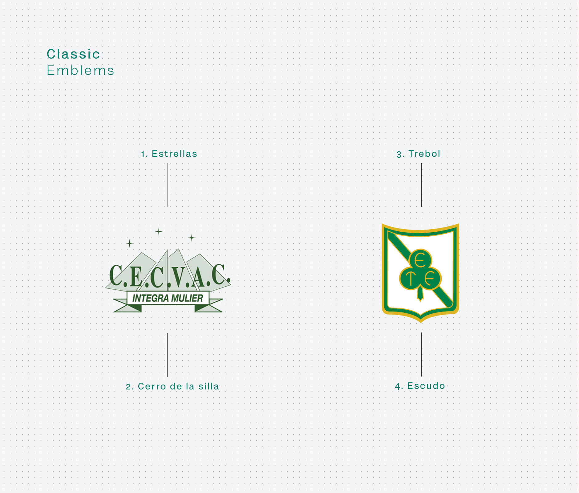 Cecvac & Irish institute classic emblem design
