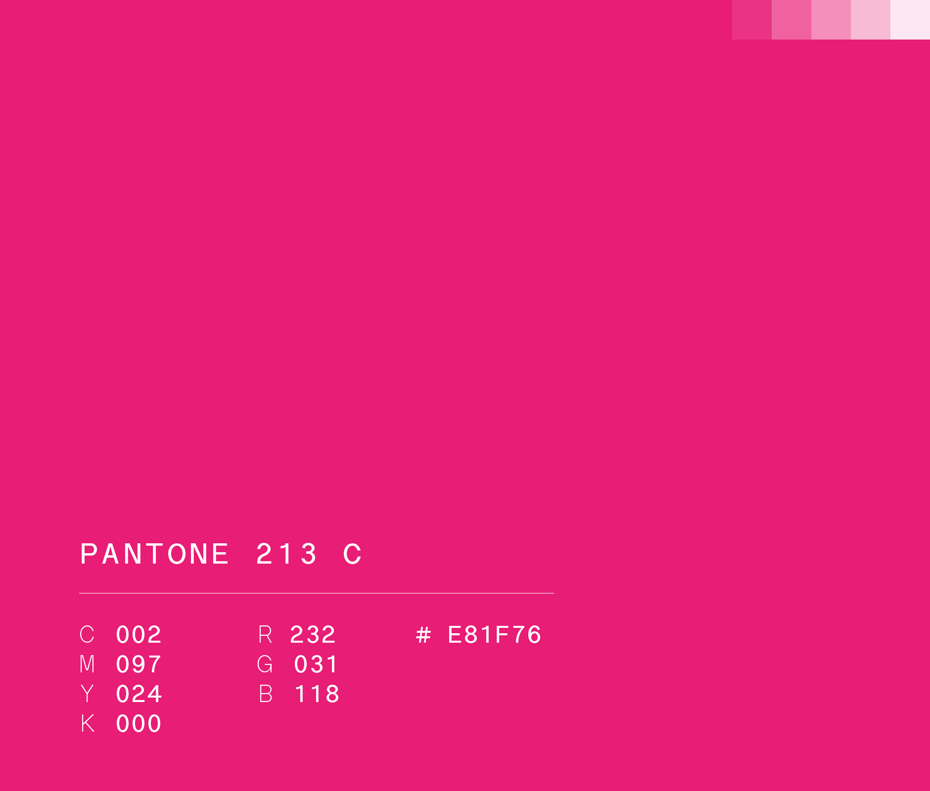 Pantone 213 c used in Marco visual identity