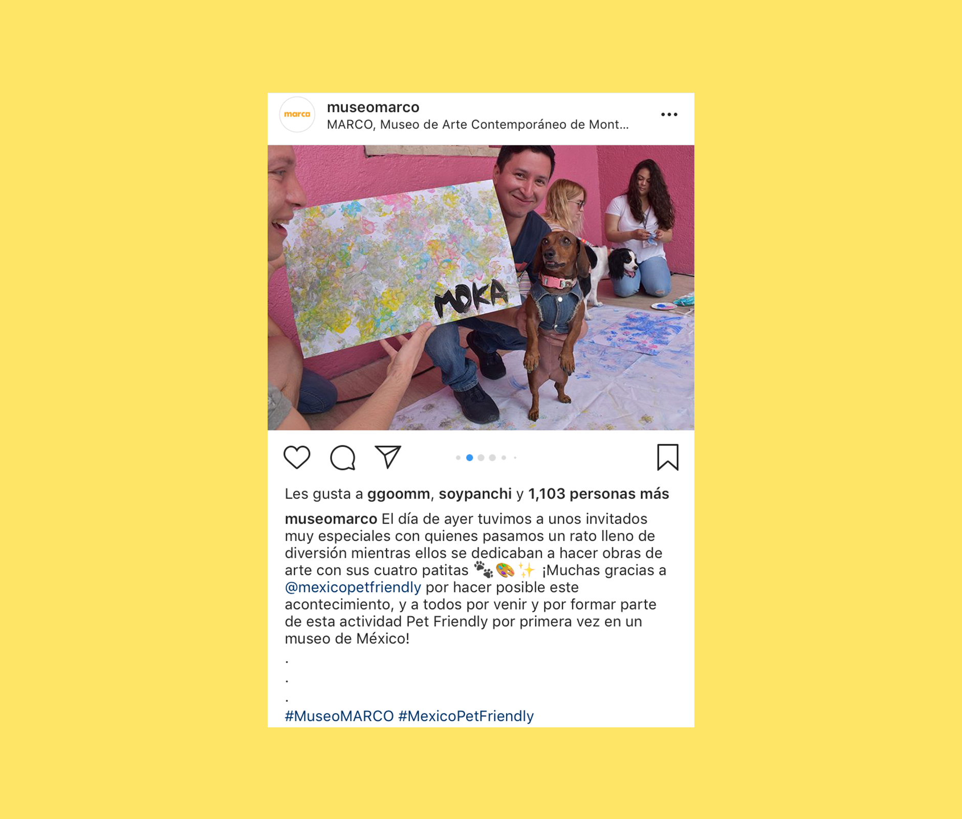 Marco dog day social media post