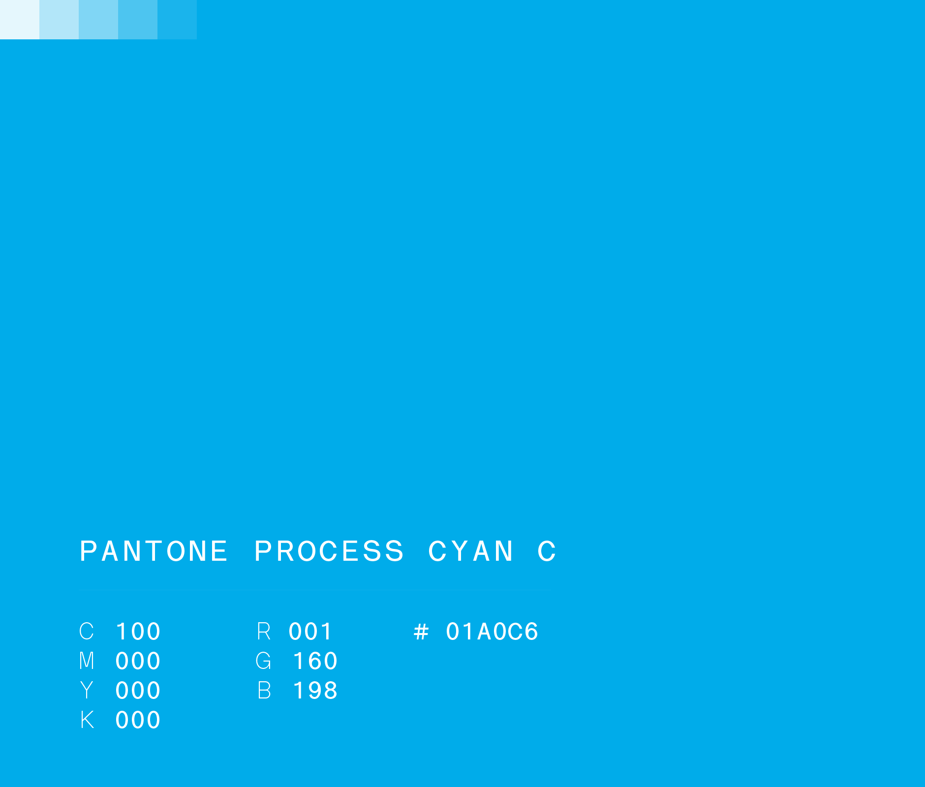 Pantone proecess cyan #01A0c6 used in Nuevo Amanecer rebranding campaign