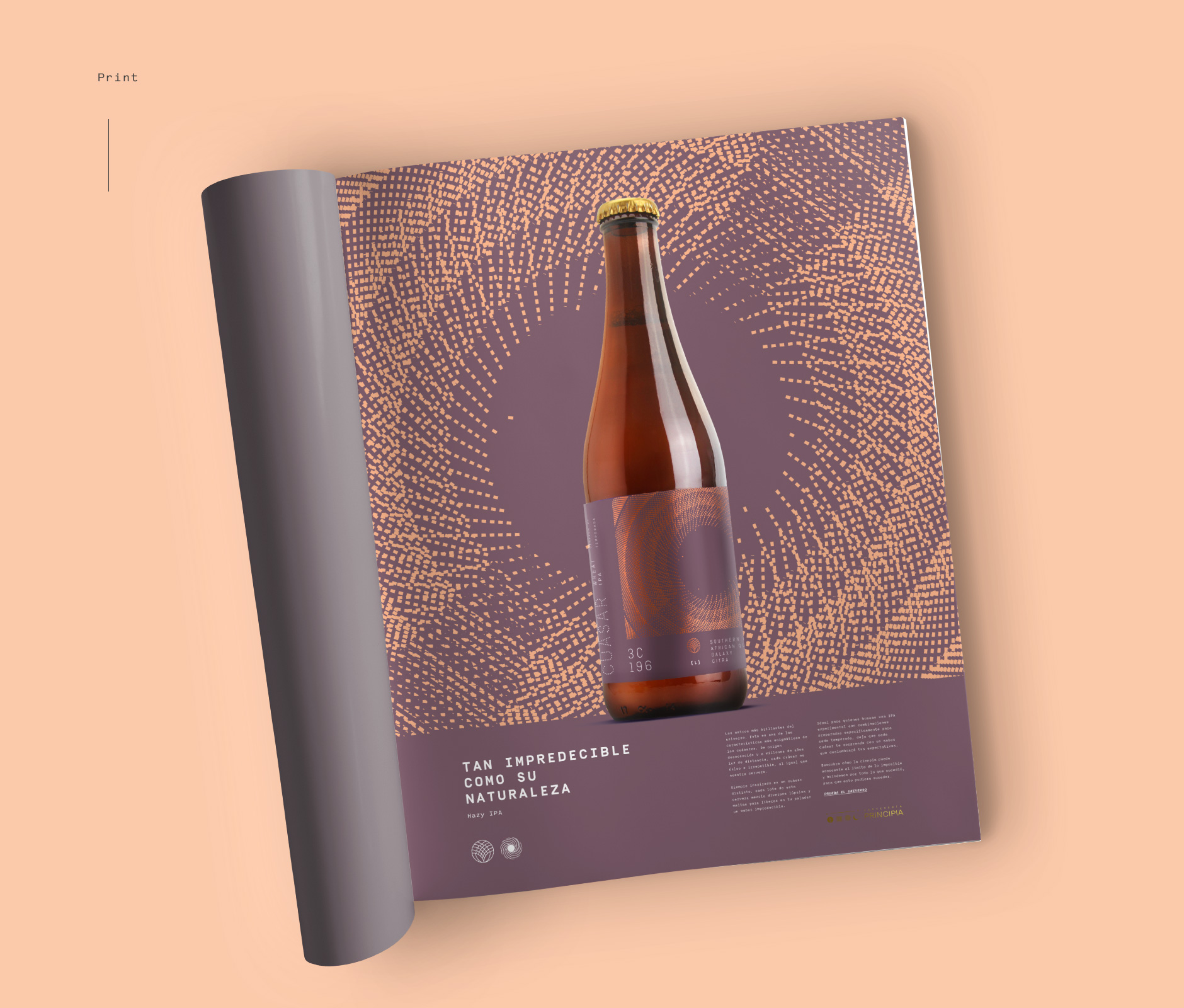 Editorial design for Principia Brewery print advertisement