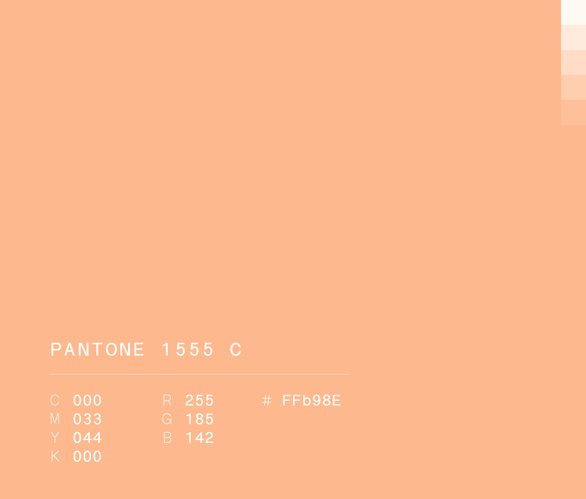 Pantone 1555 C #FFb98e used in Principia Brewery visual identity