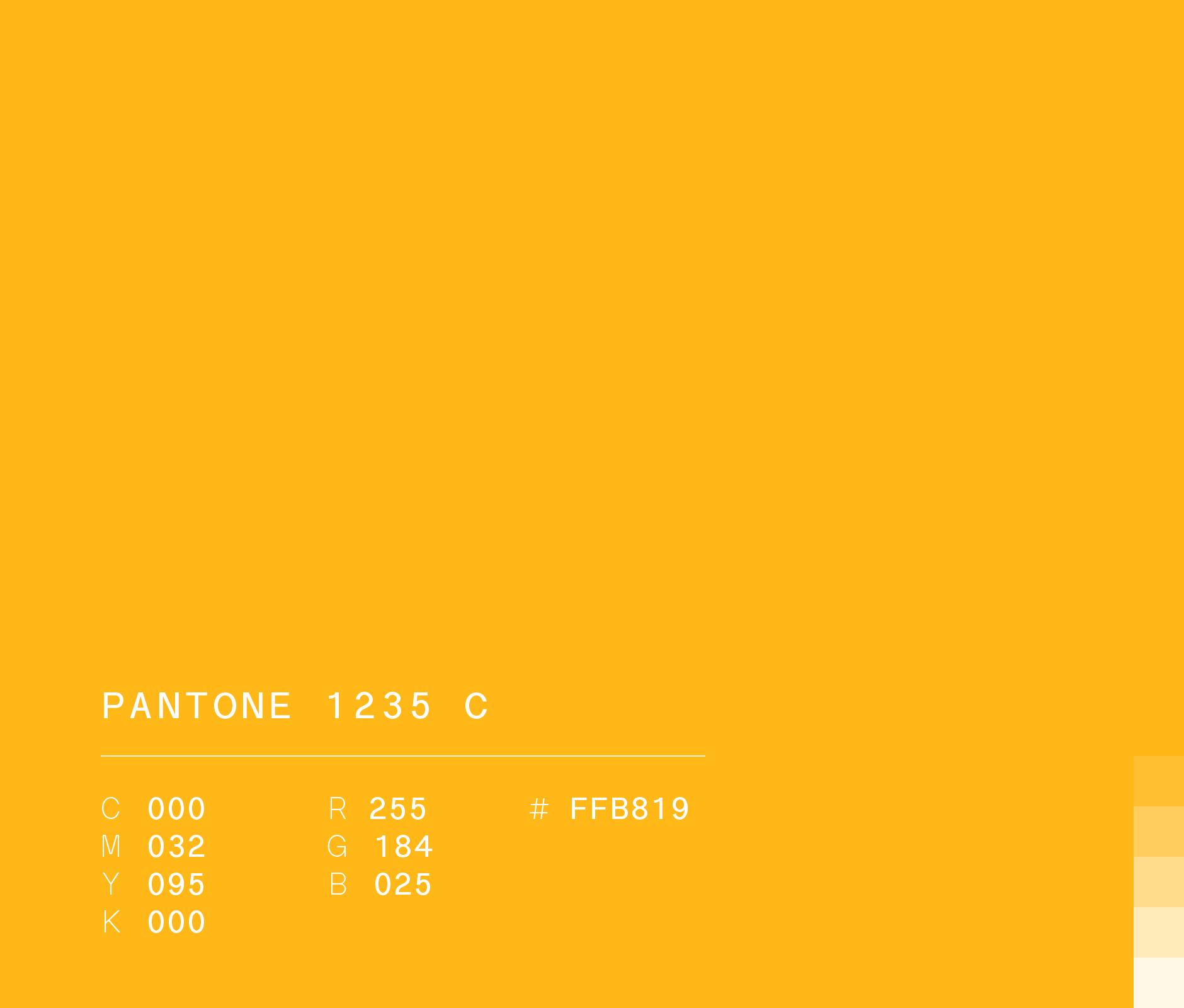Pantone 1235 c used in Senda bus design