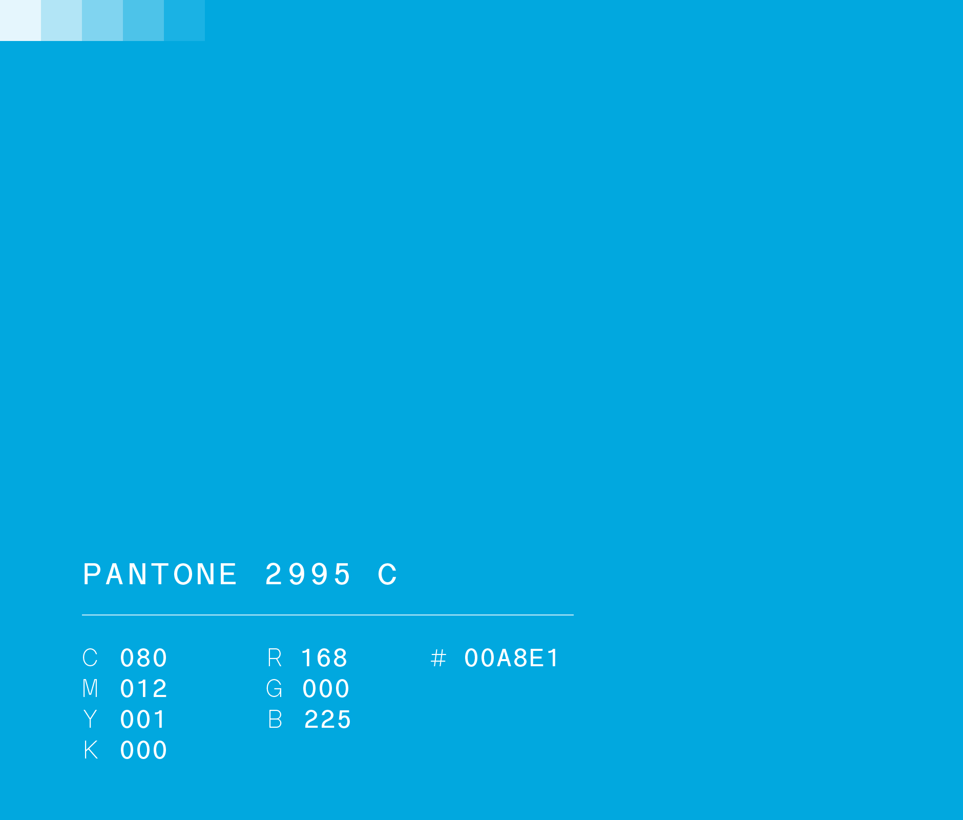 Pantone 2995 C #00A8E1 used in brand identity for Transportes del Norte