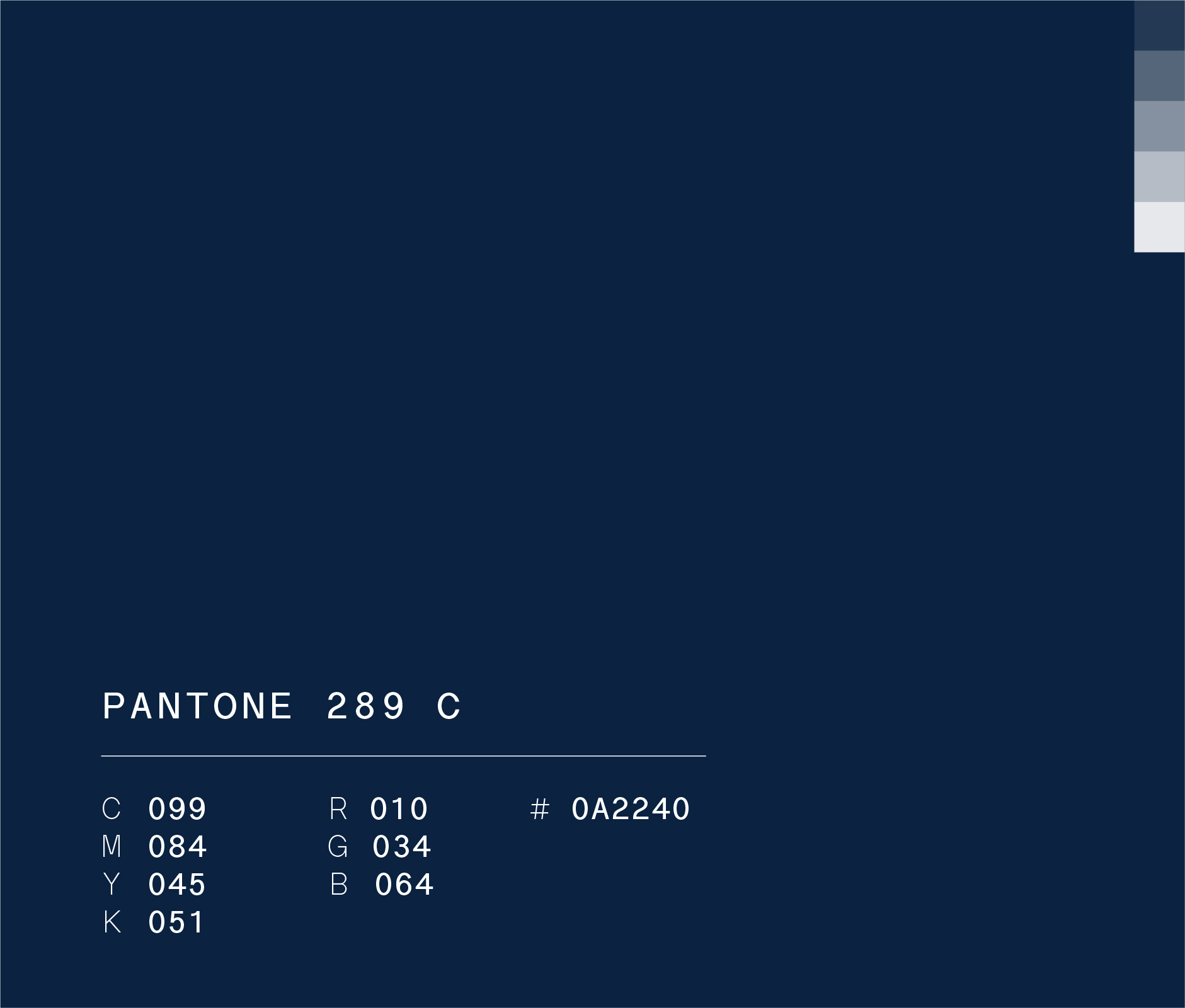 Pantone 289 c used in Rayados Kids brand identity