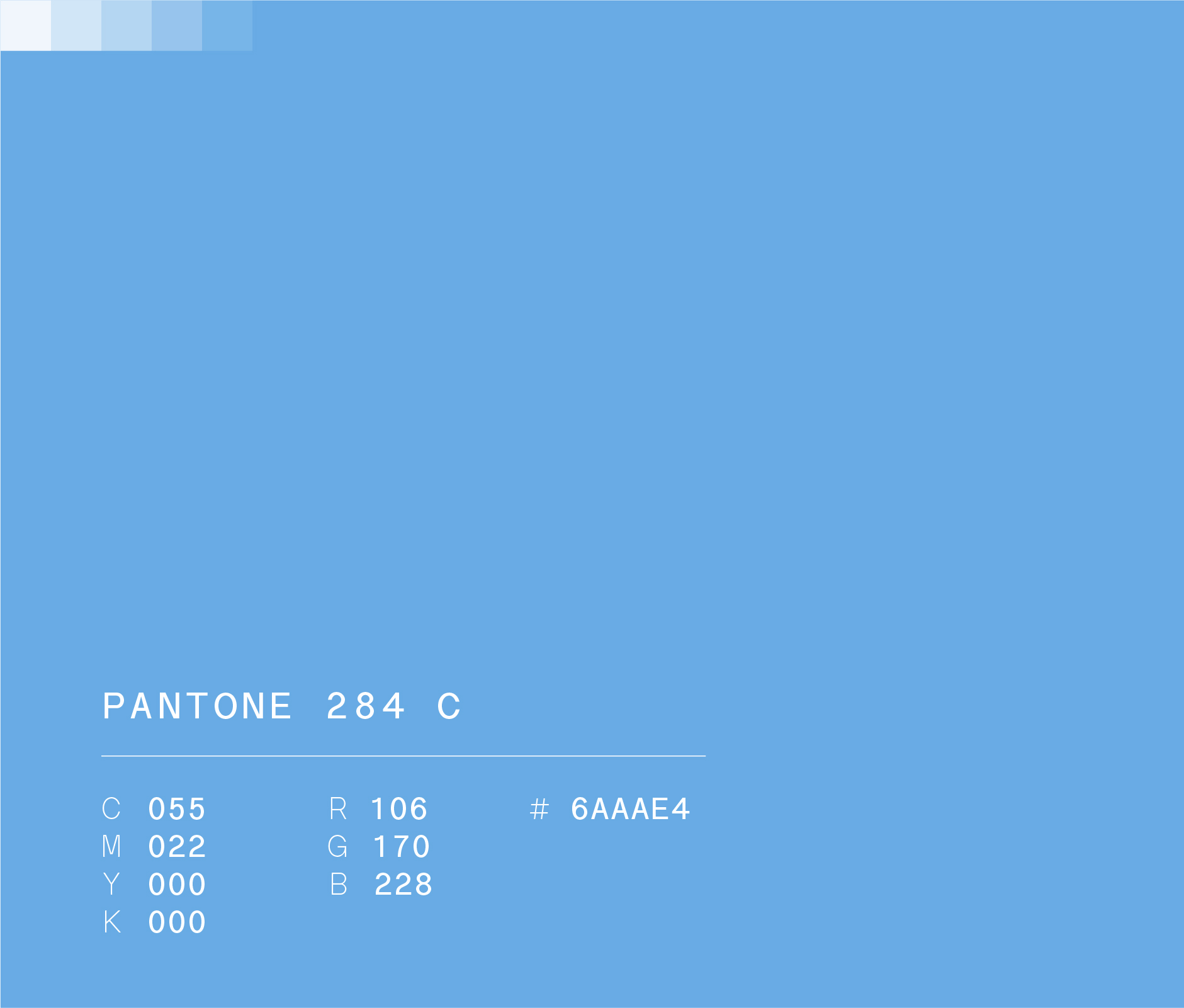 Pantone 284 c used in Rayados Kids visual identity