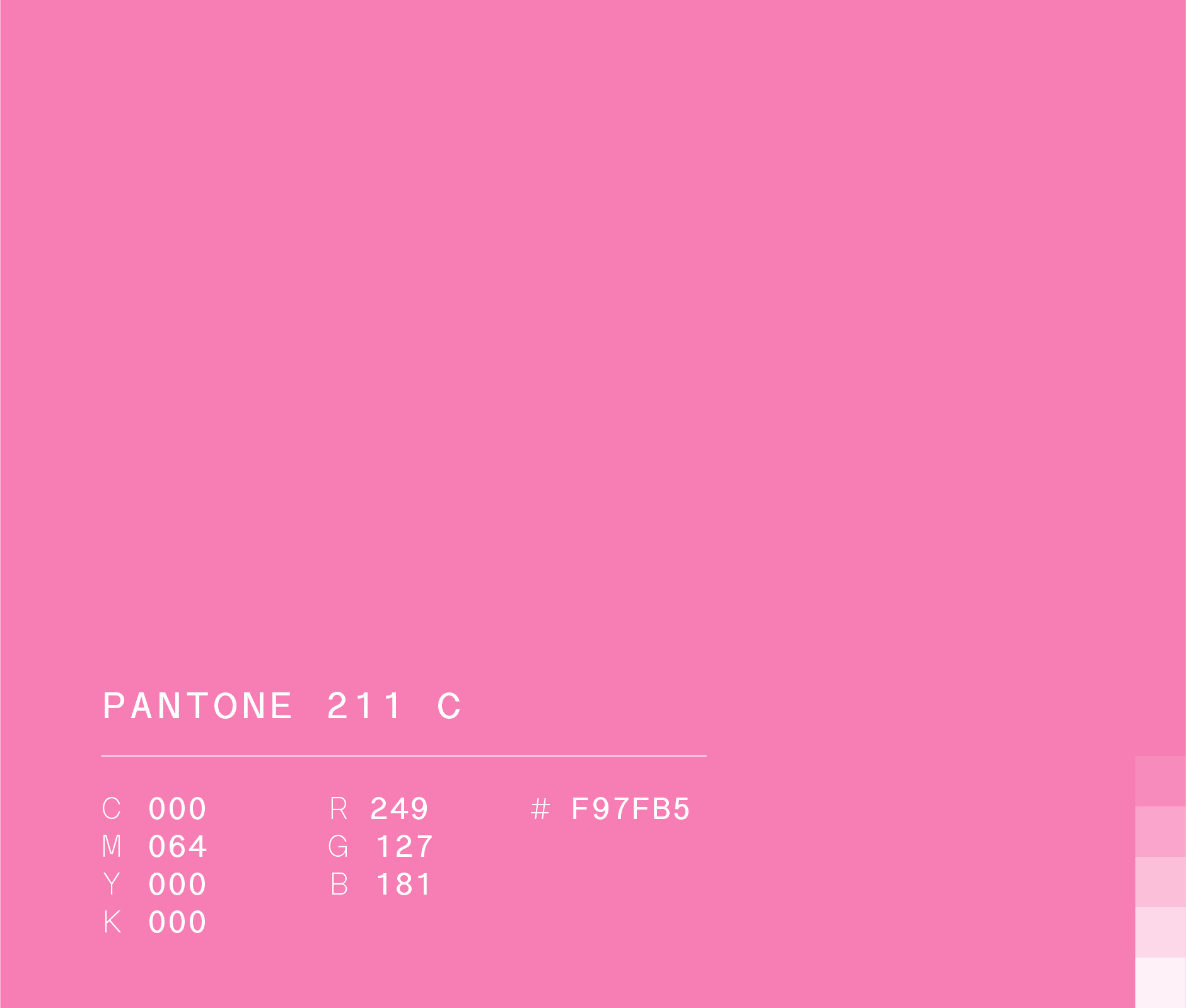 Pantone 211 c used in Rayados Kids visual identity