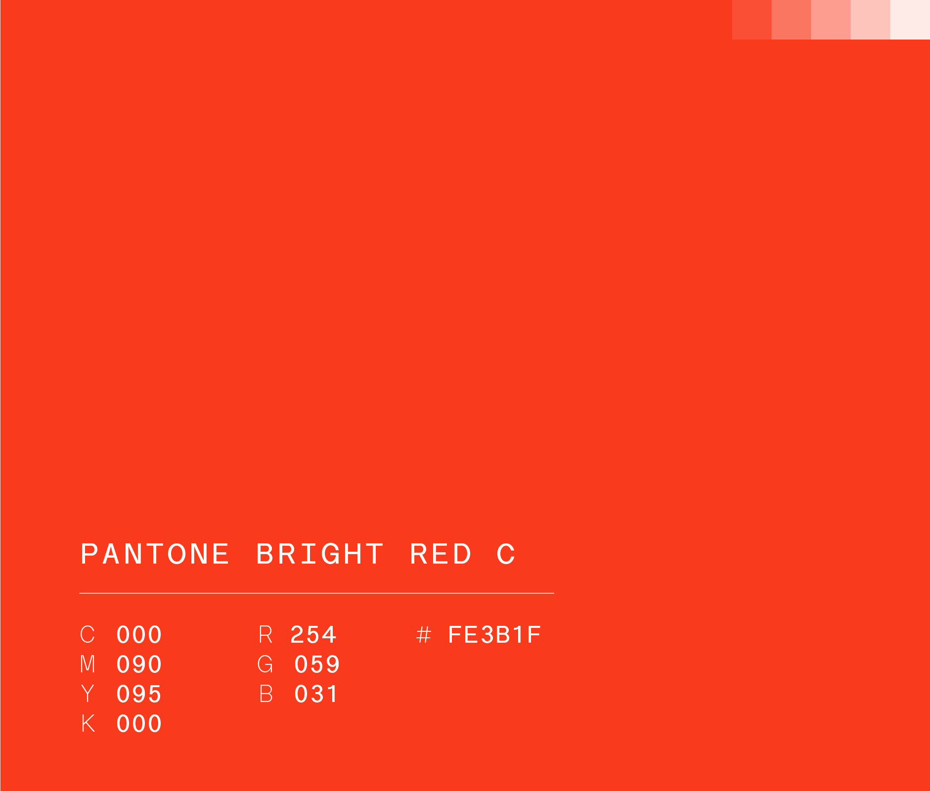 Pantone bright red c used in Rayados Kids brand identity