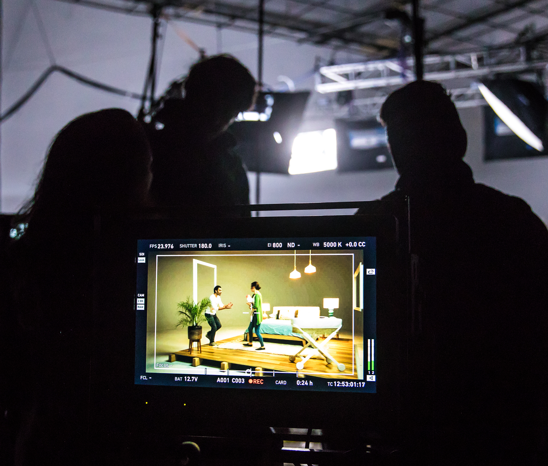 Professional camera monitor