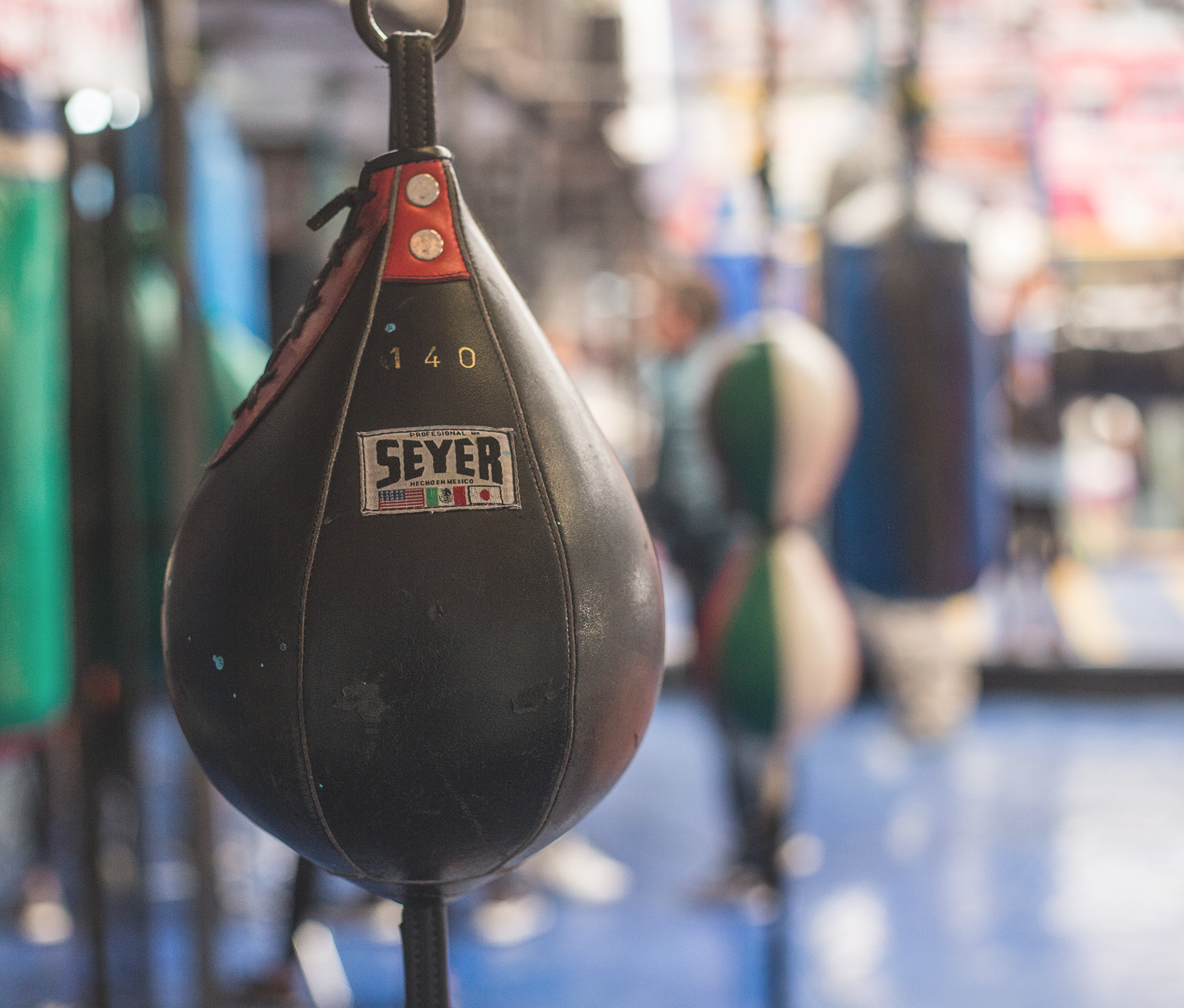 Seyer boxing punch bag