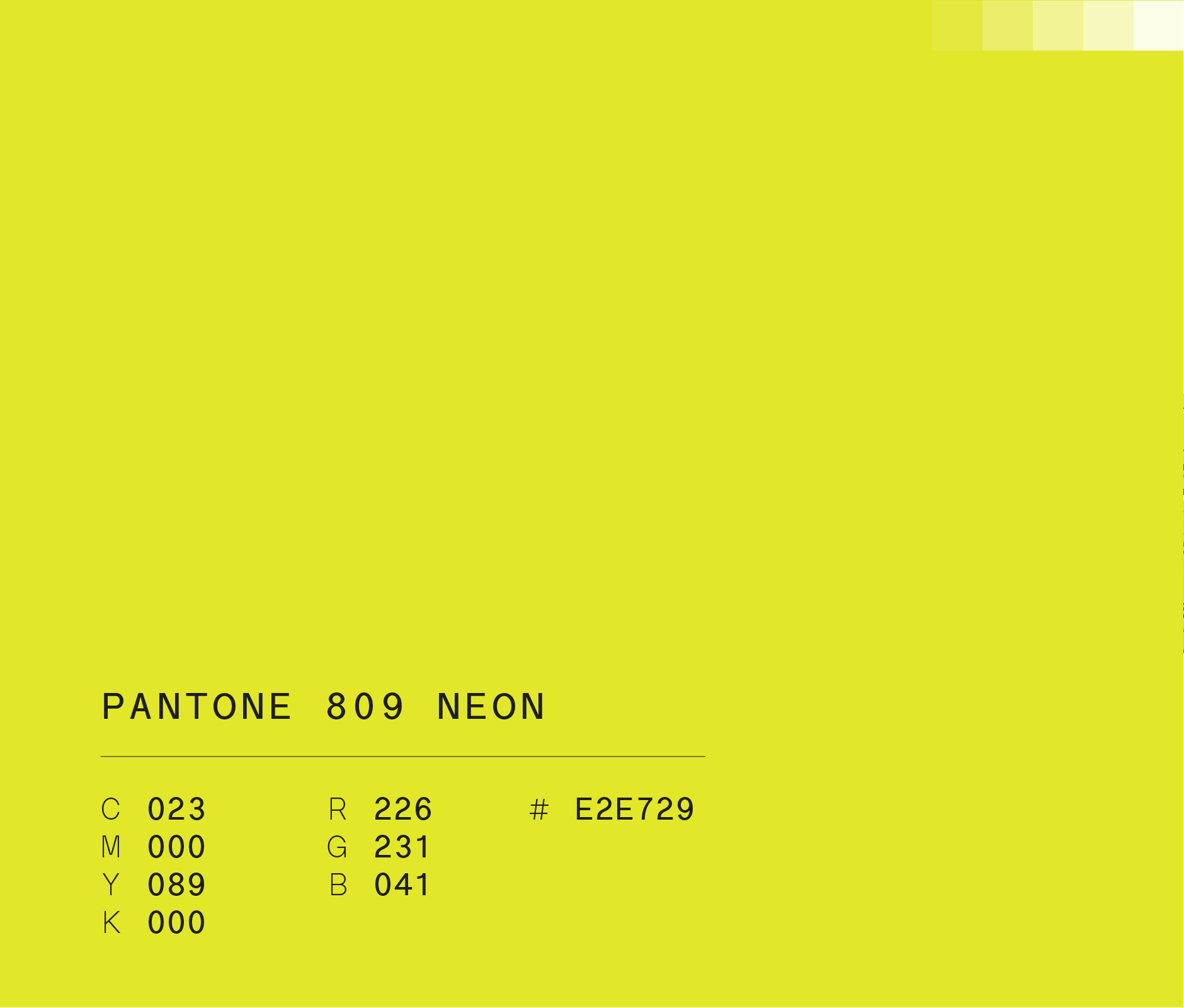 Pantone 809 NEON used in Banregio marketing campaign