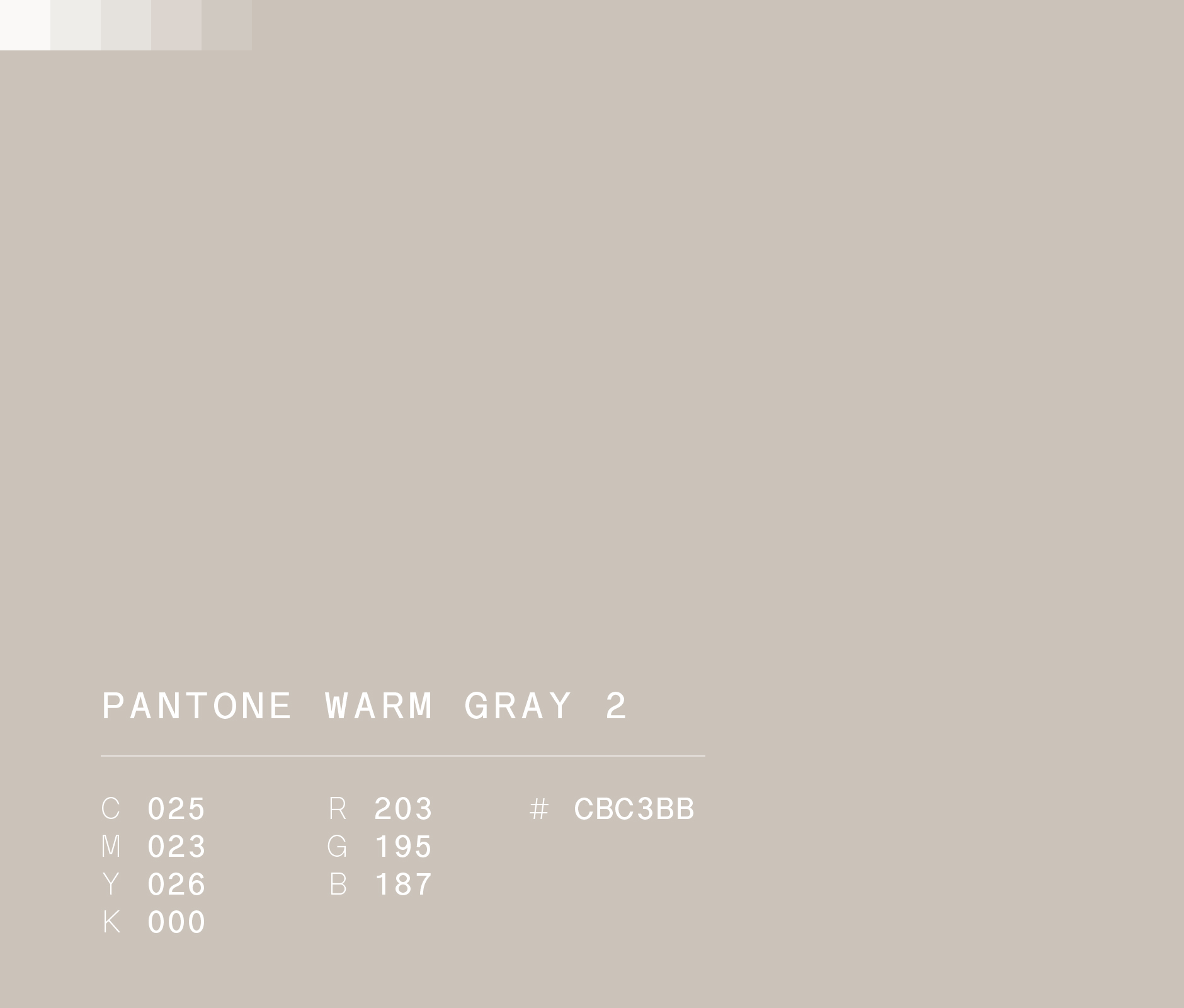 Pantone warm gray 2 used in Banregio visual identity