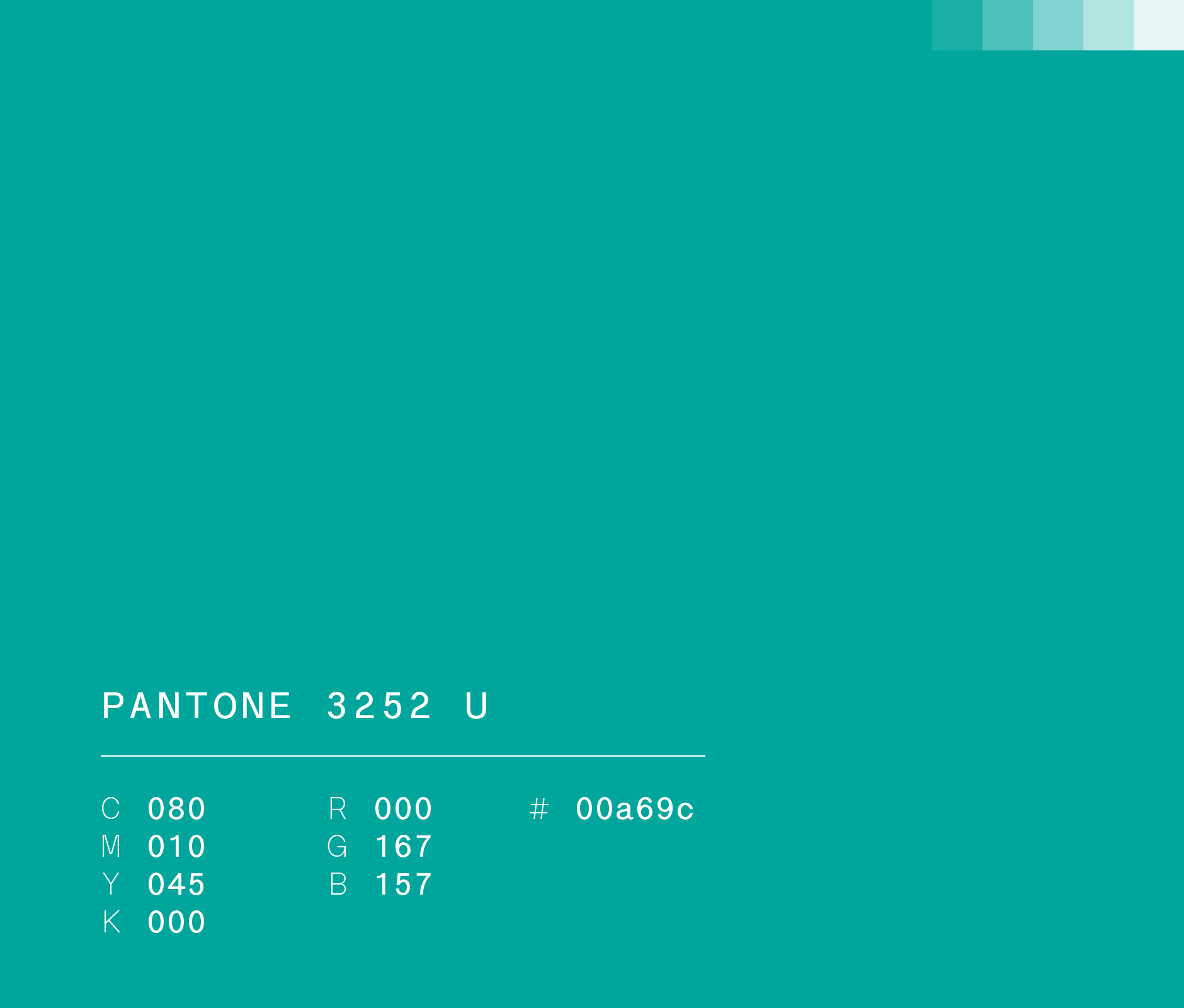 Pantone 3252 U #00a69c used in Santa Lucia visual identity