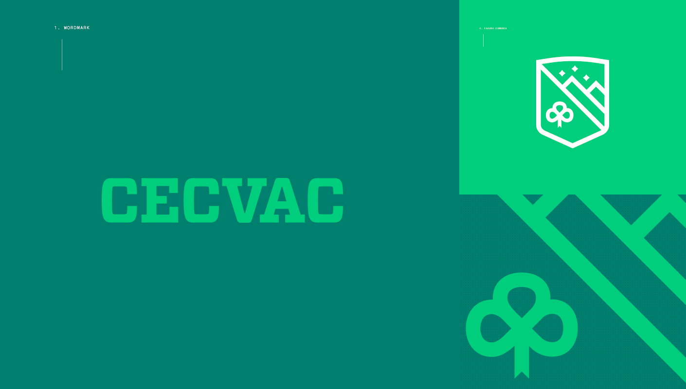 Cecvac school institute wordmark and logo