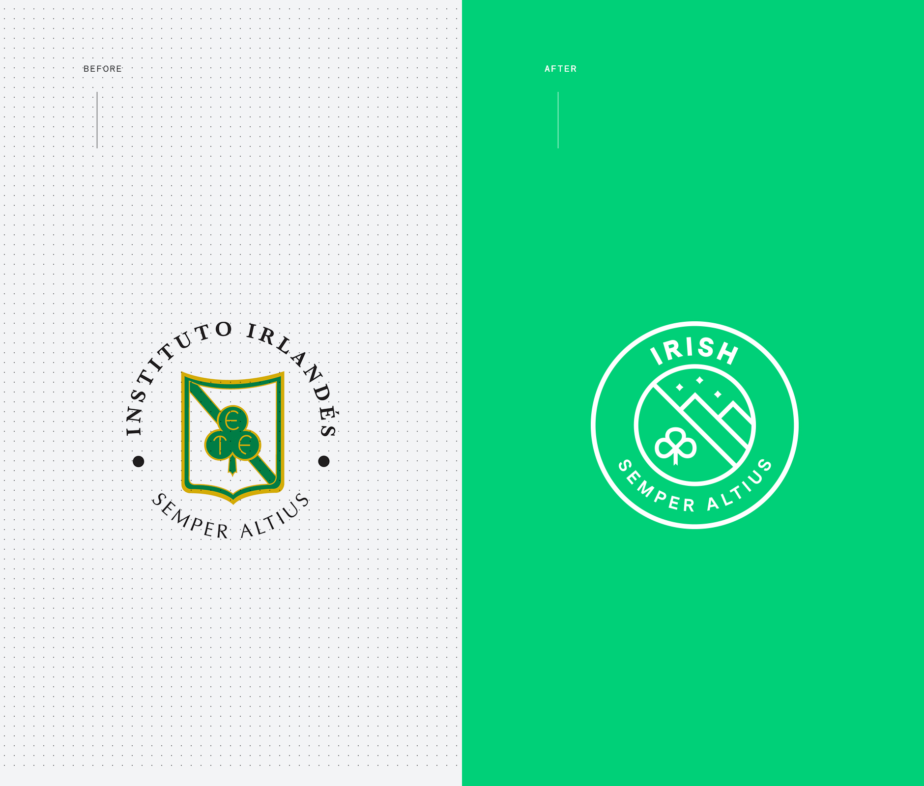 Irish school institute rebrand