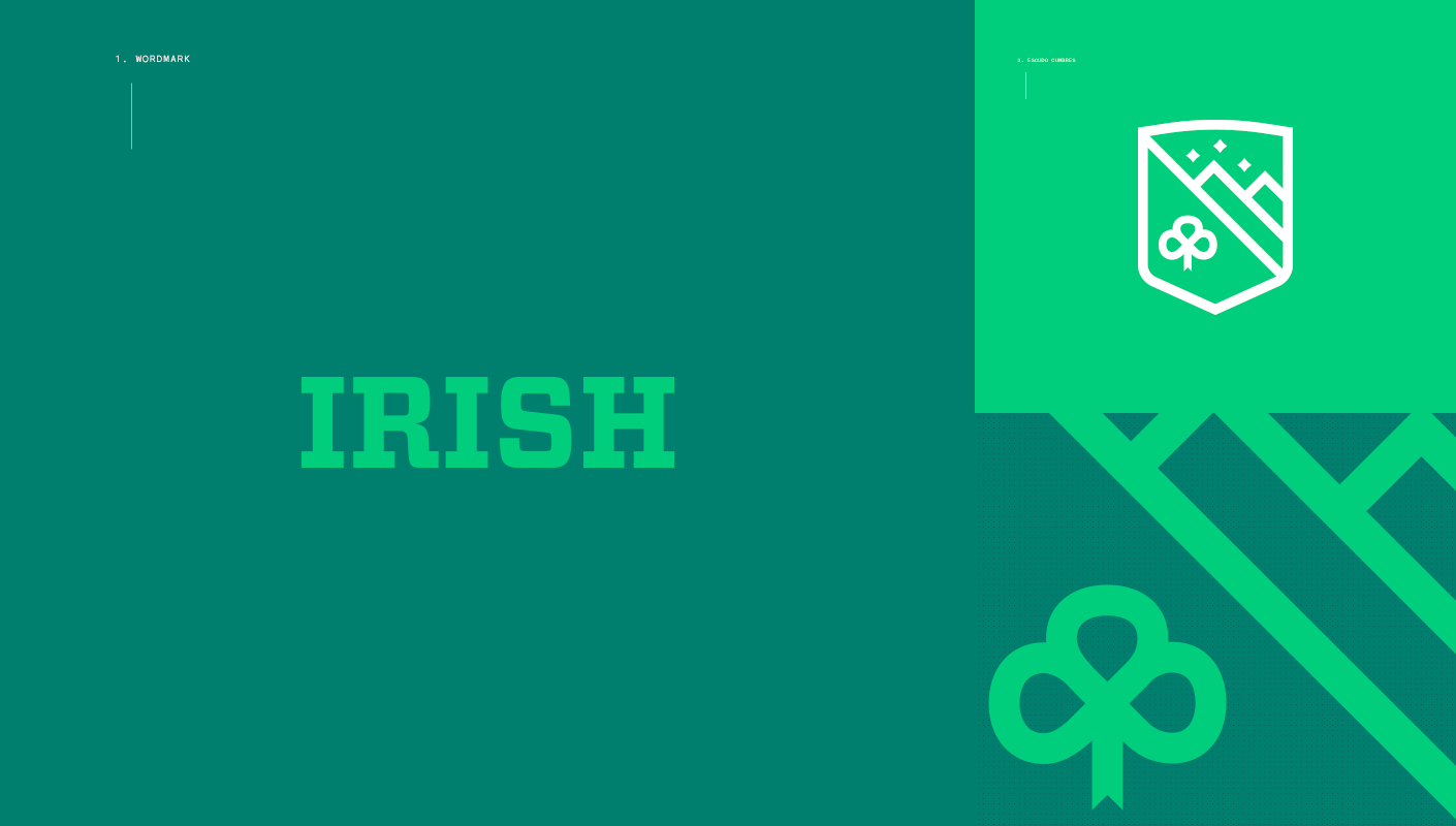  Irish school institute wordmark and logo detail