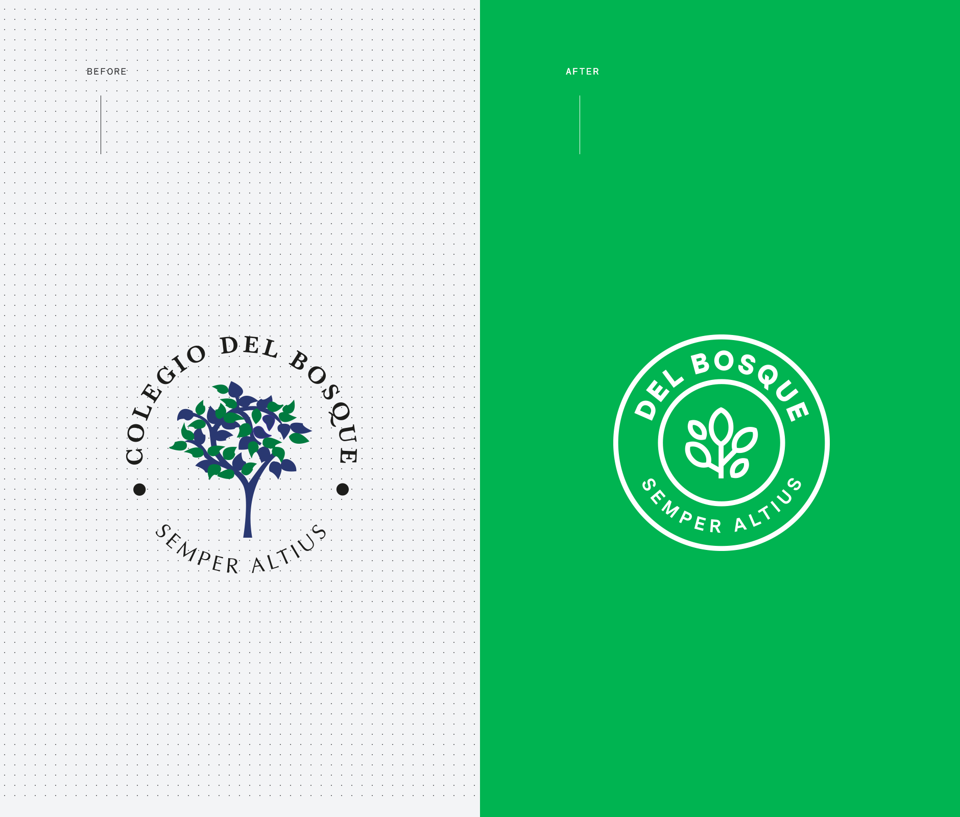 Del Bosque school institute rebrand