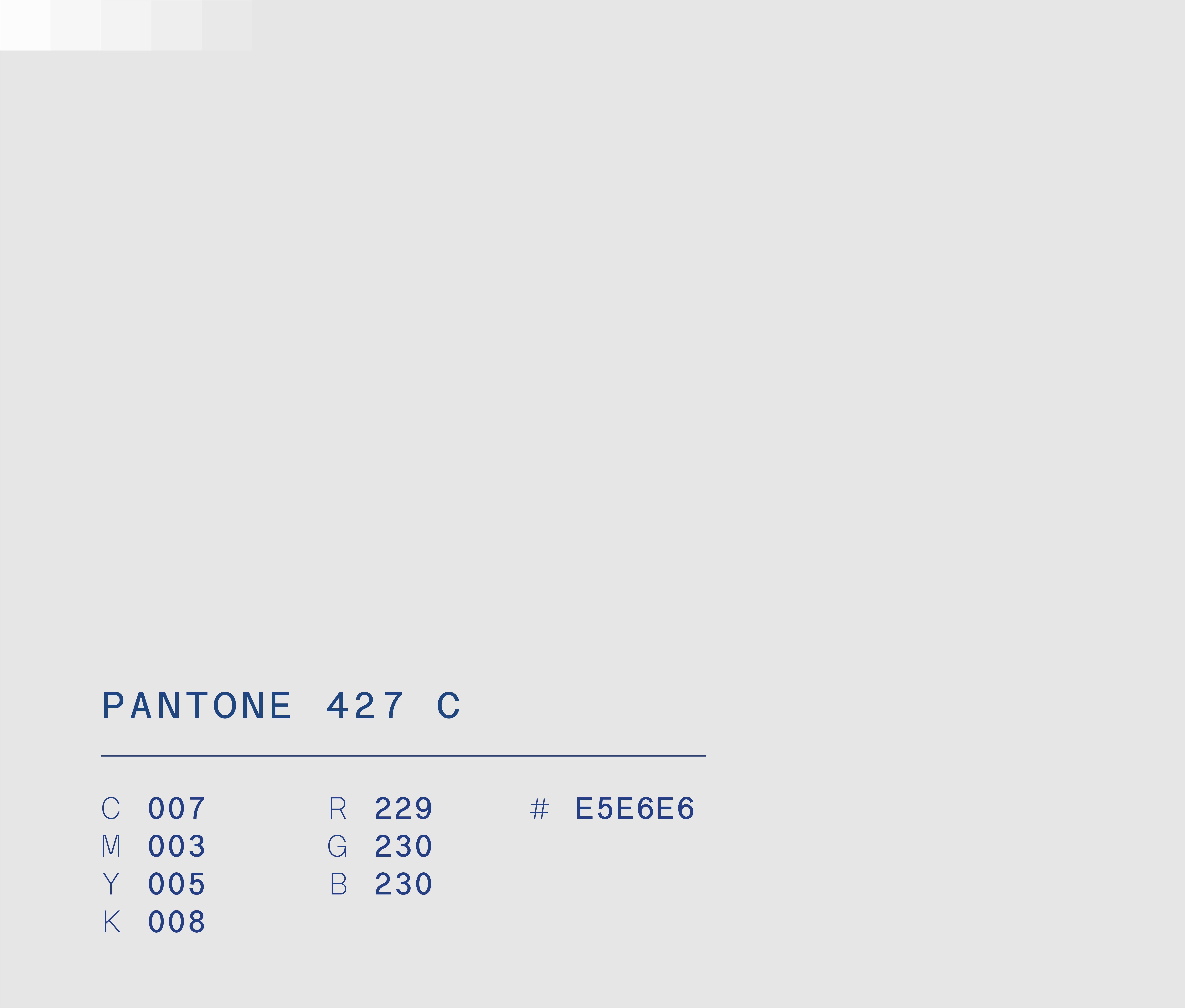 Pantone 427 c used in Semper Altius education network brand identity