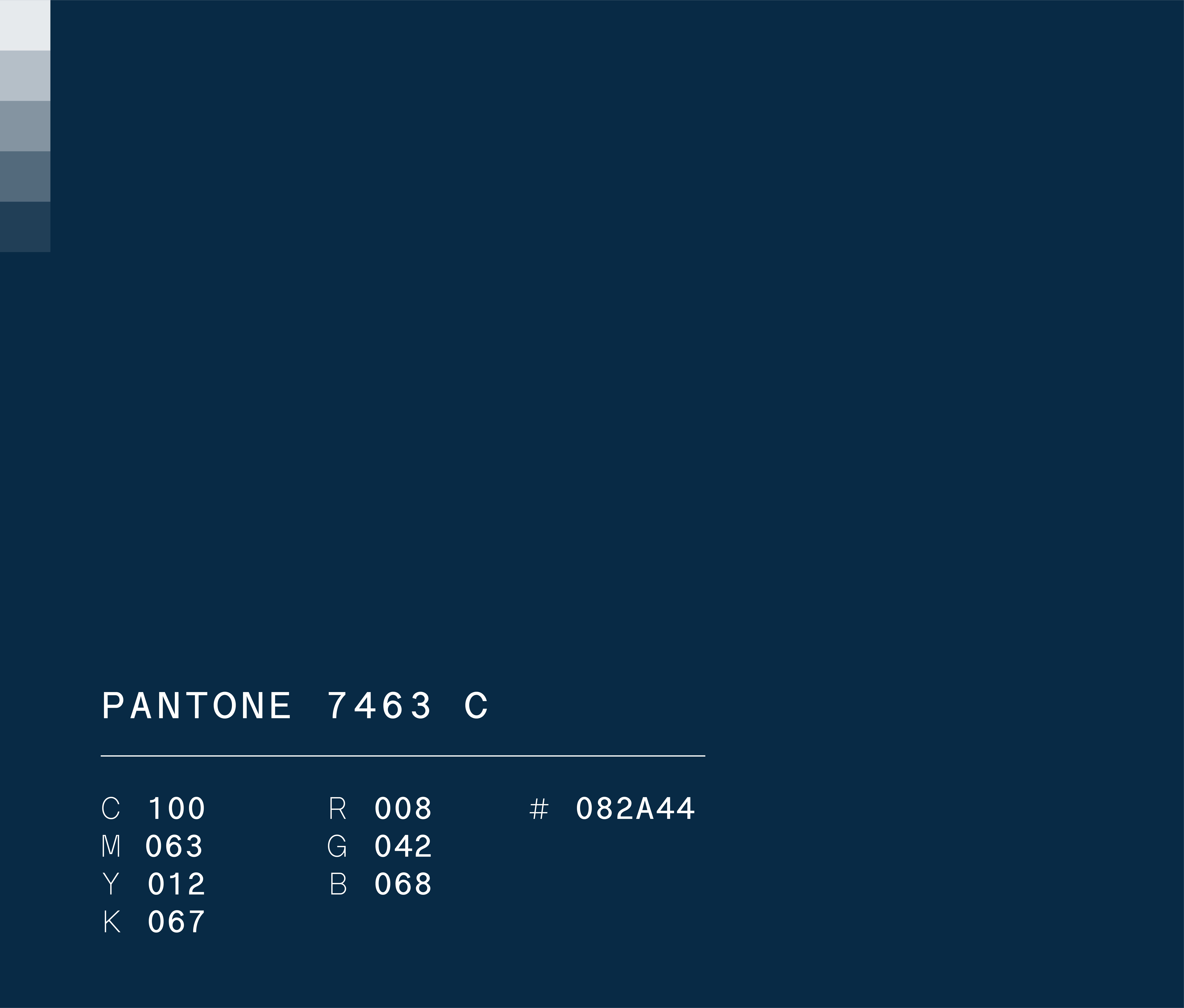 Pantone 7463 used in Semper Altius education network brand identity