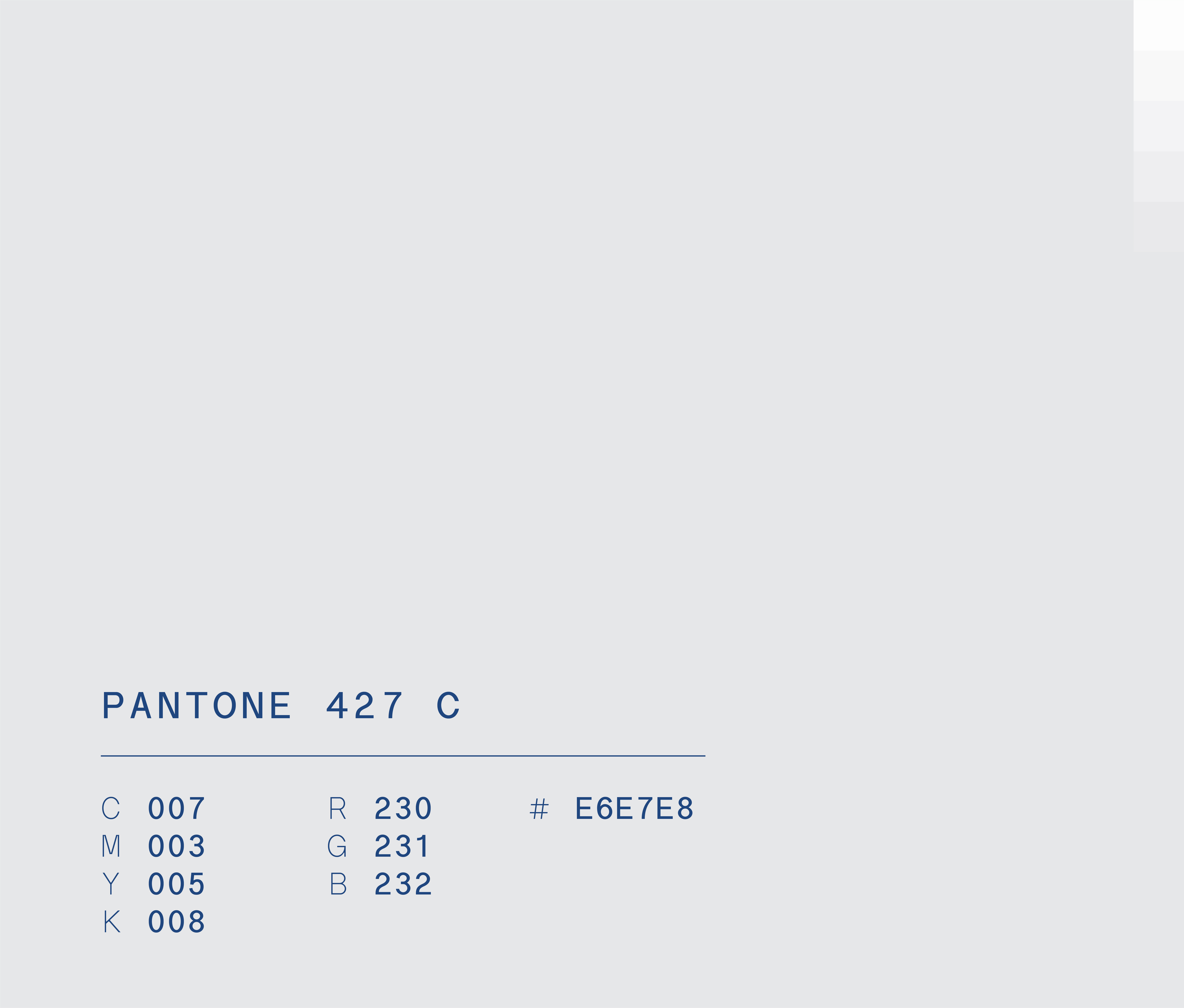 Pantone 427 c used in Semper Altius education network brand identity