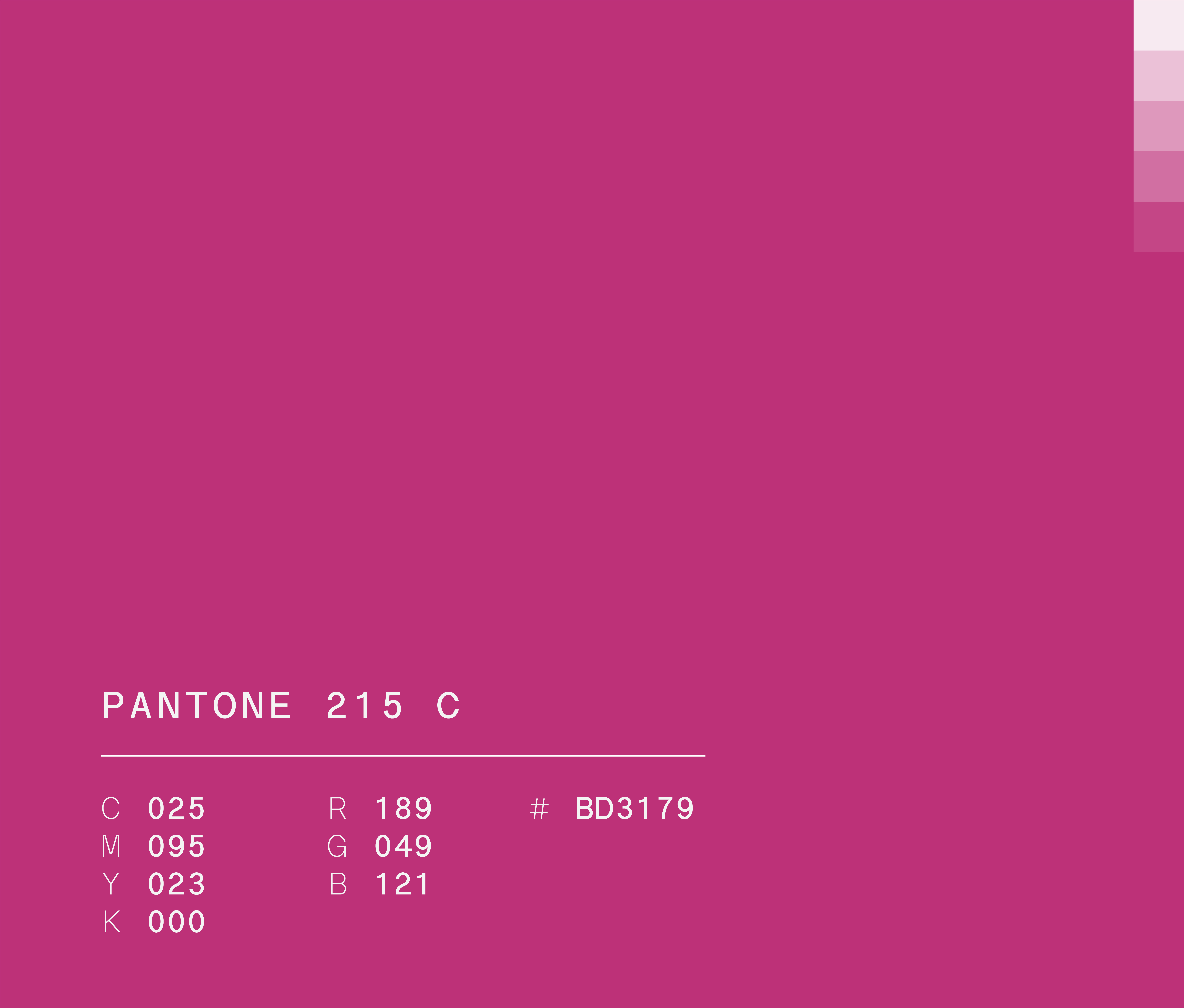 Pantone 215 c used in Semper Altius education network brand identity