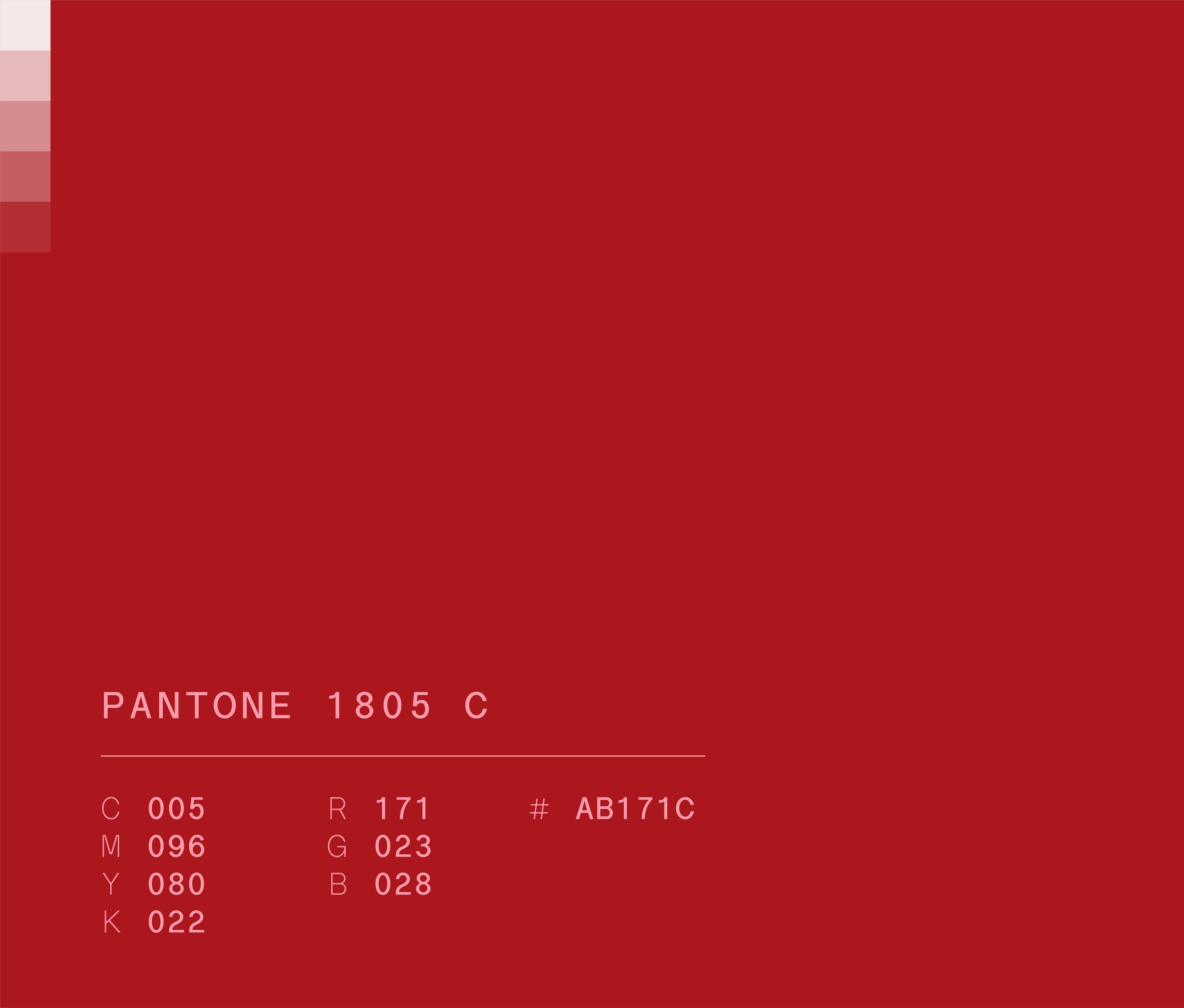 Pantone 1805 c used in Semper Altius education network brand identity