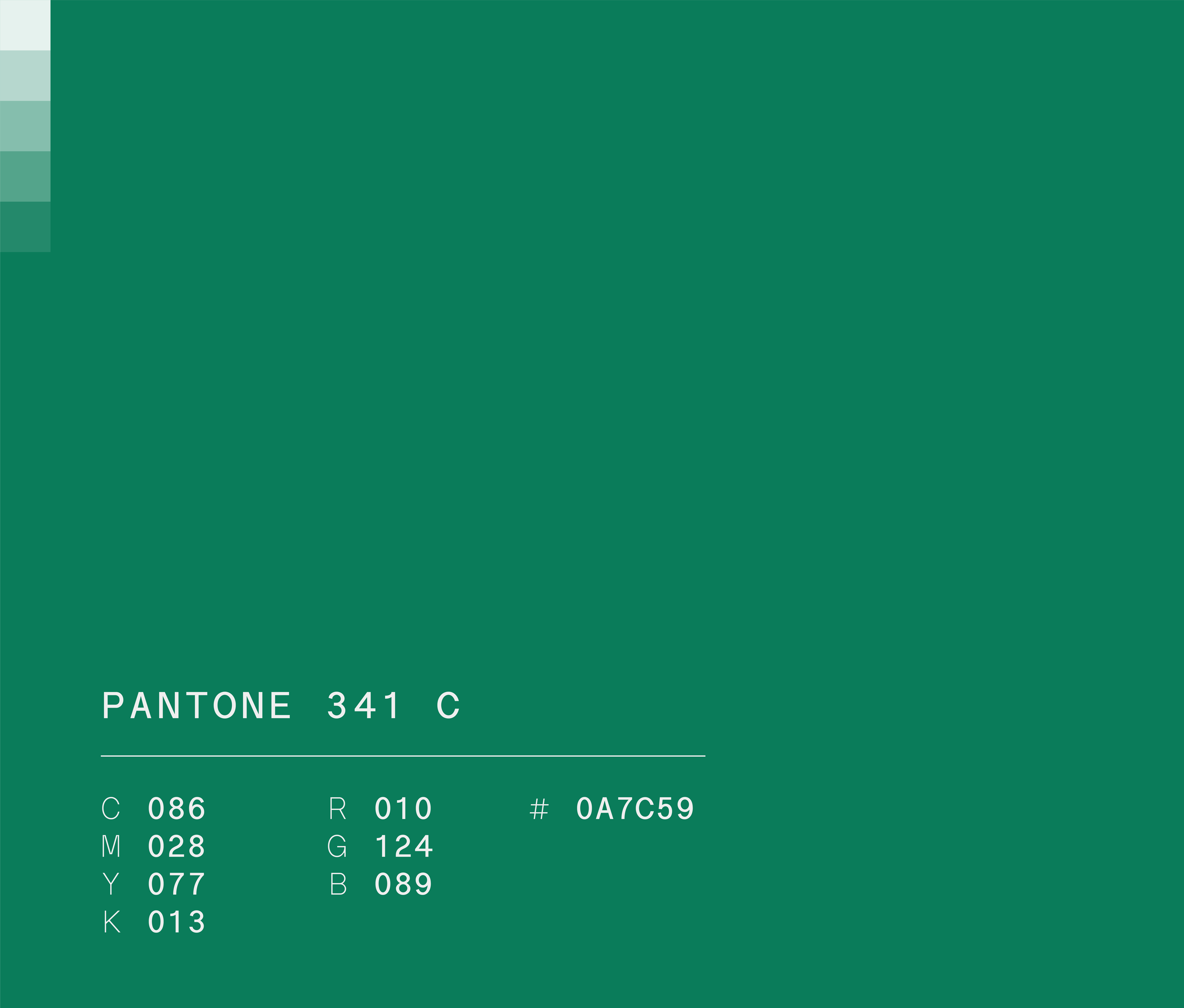 Pantone 341 c used in Semper Altius education network brand identity