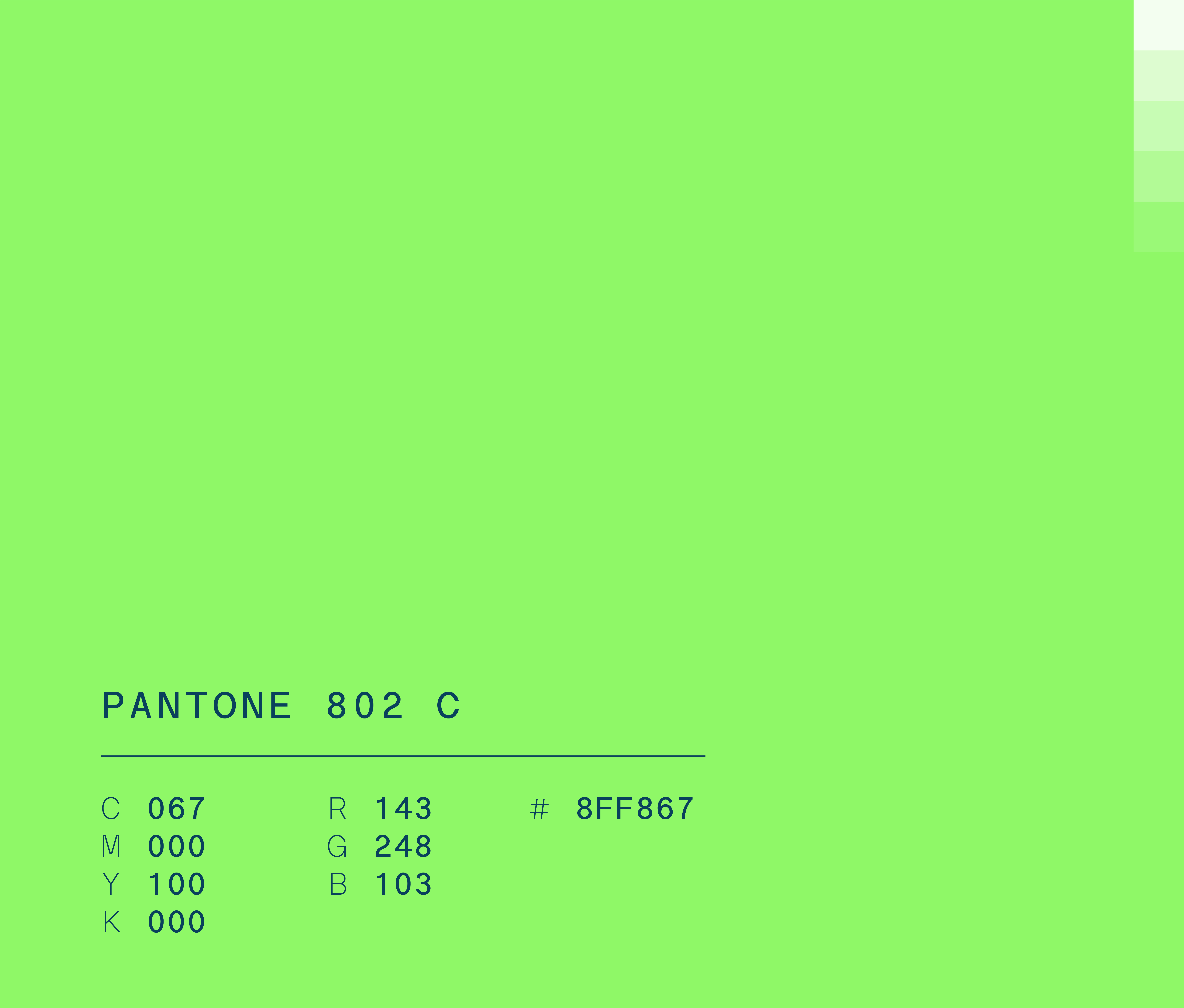  Pantone 802 c used in Semper Altius education network brand identity