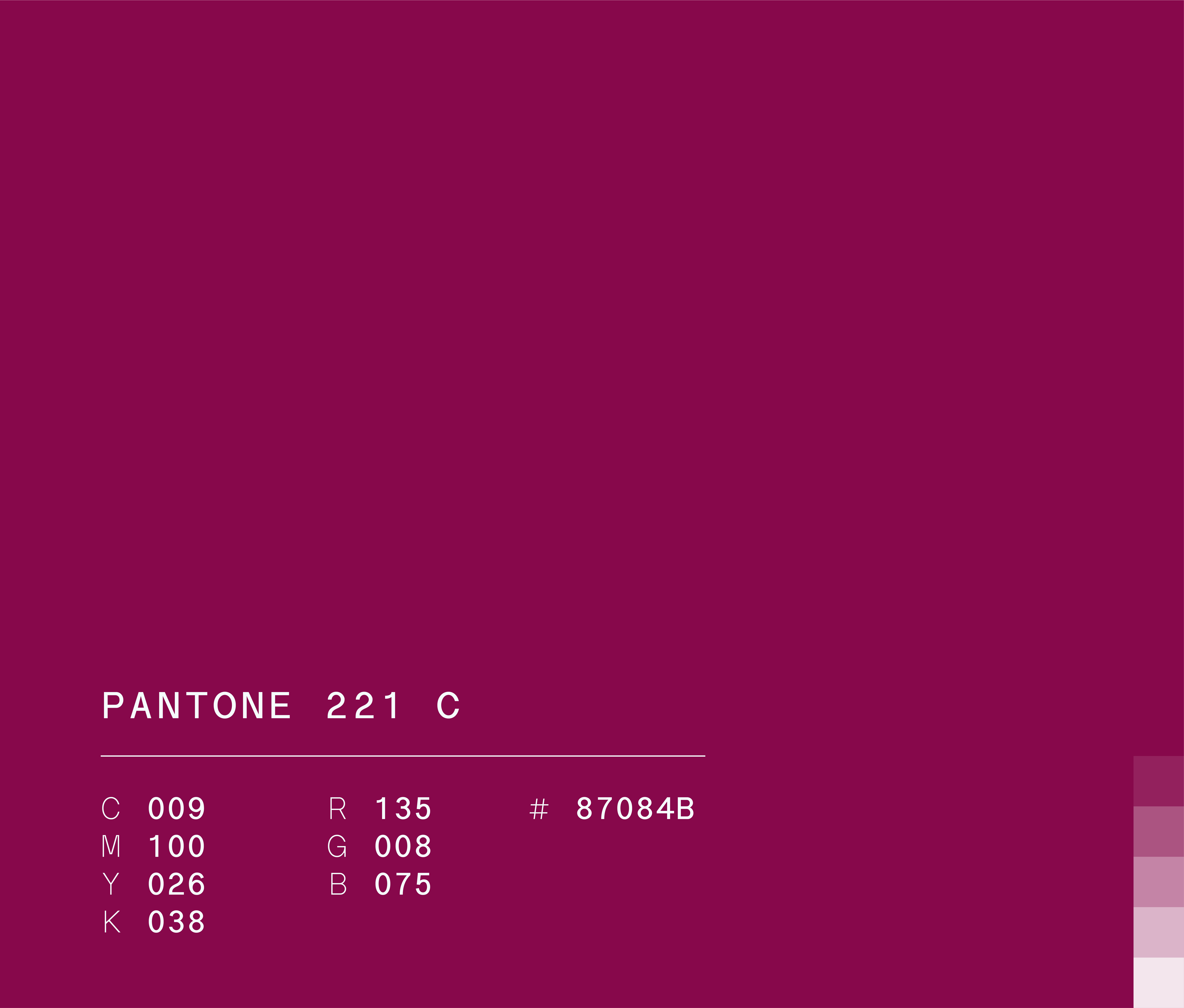 Pantone 221 c used in Semper Altius education network brand identity