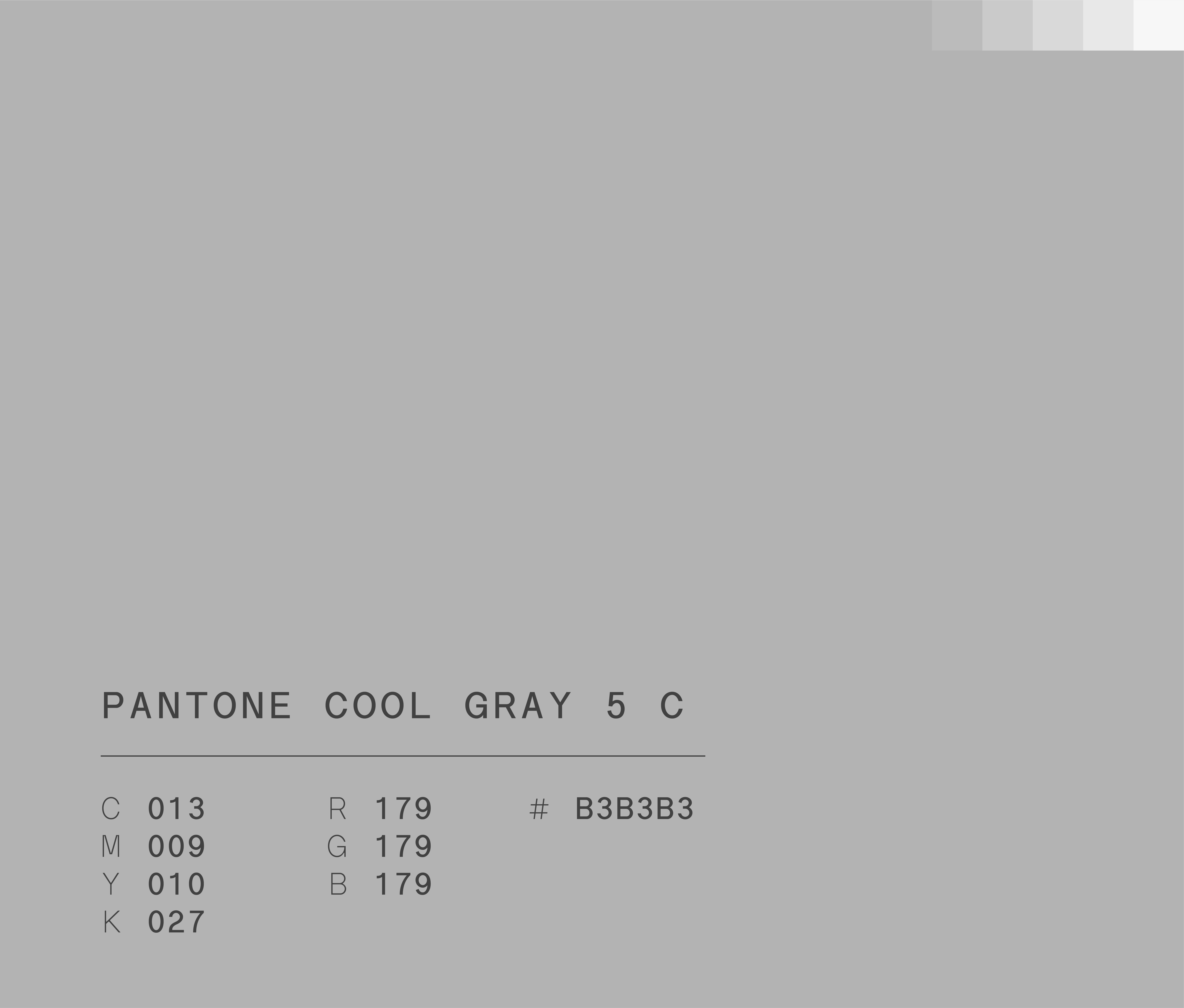 Pantone cool grey used in Semper Altius education network brand identity