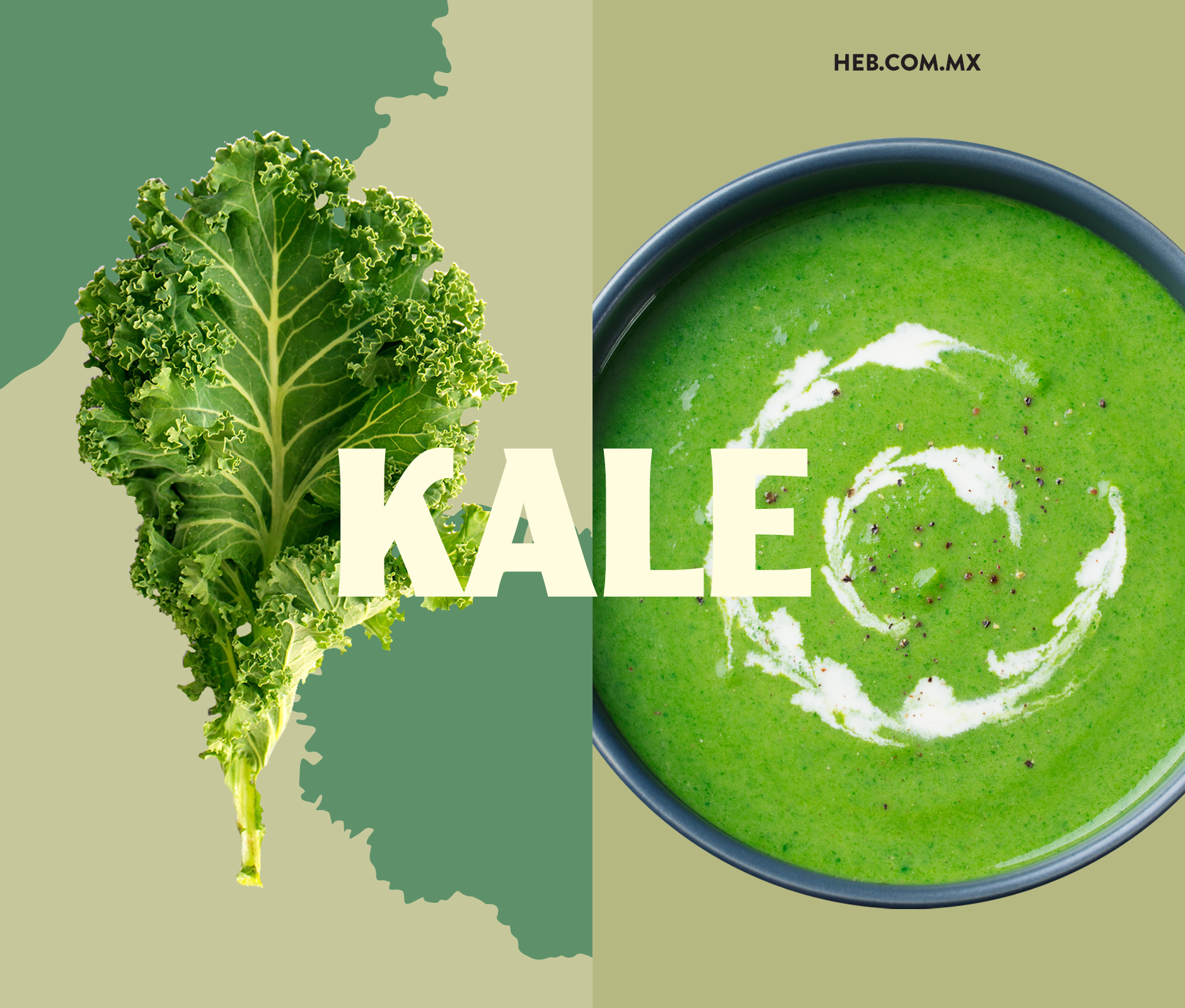 Kale product photography design ad for HEB Market Prime 2019 marketing campaign
