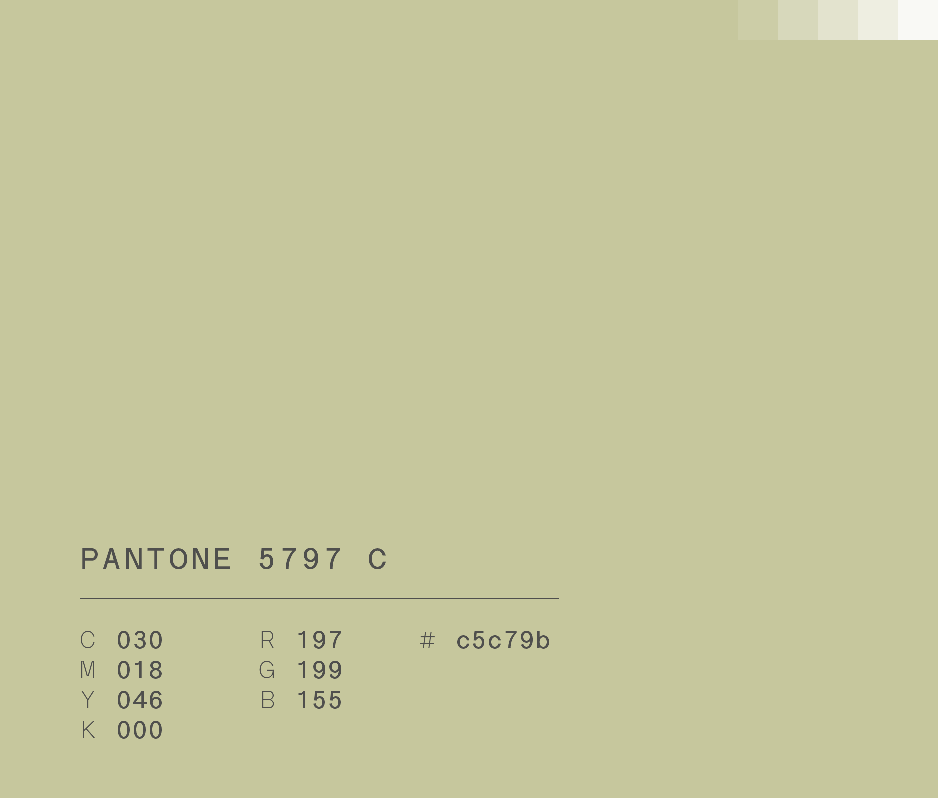 Pantone 5797 C #c5c79b used HEB Mexico Market Prime campaign