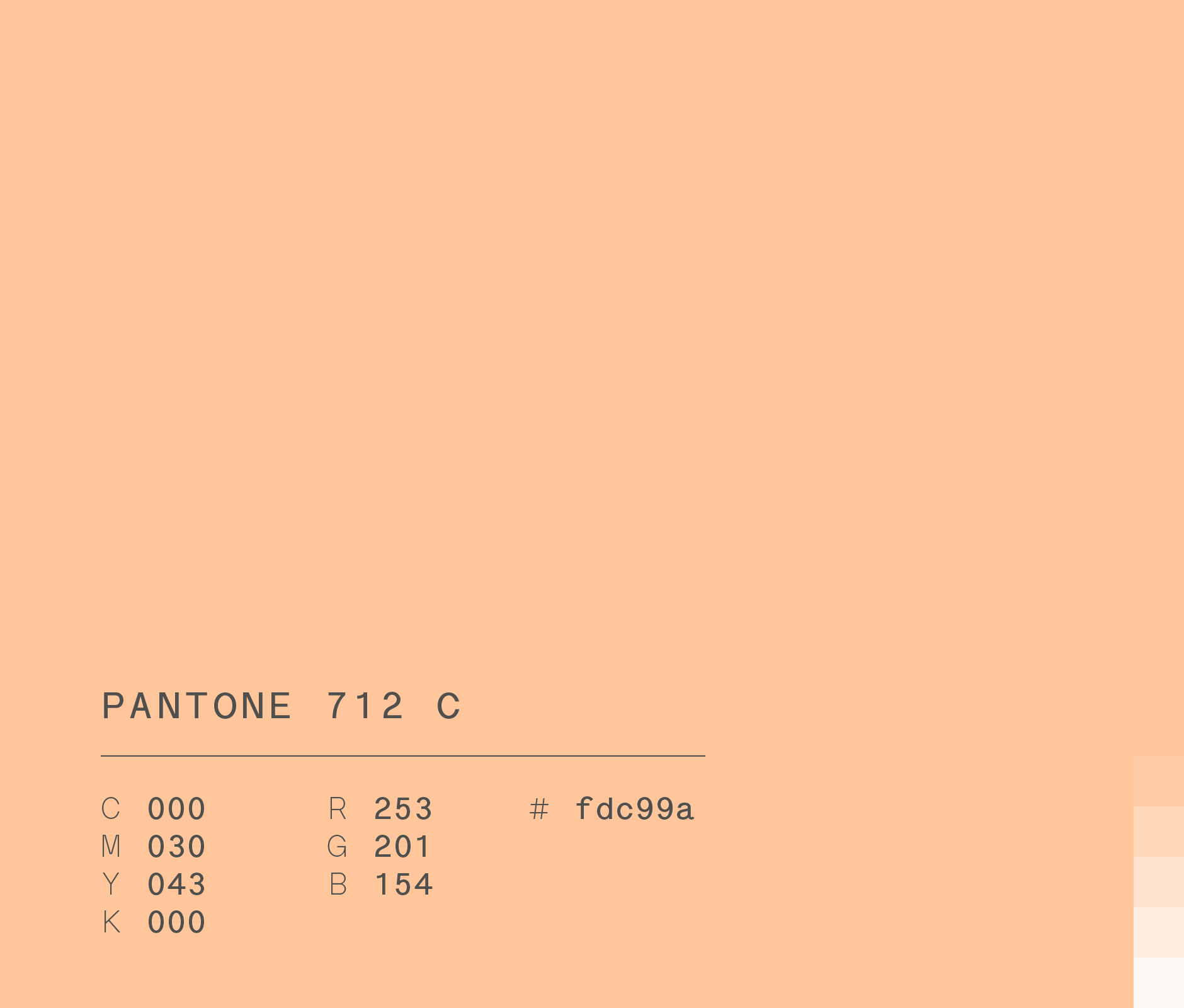 Pantone 712 C #fdc99a used in HEB Marketing Campaign