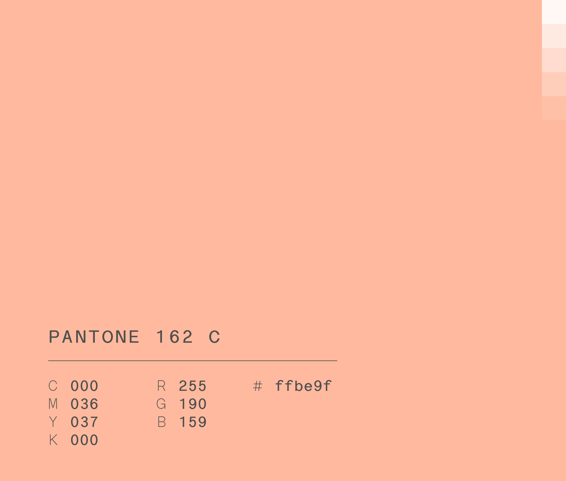 Pantone 162 C #ffbe9f used in HEB Market Prime campaign