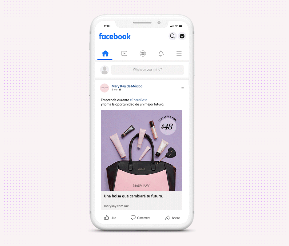 Mary Kay social media advertisement design