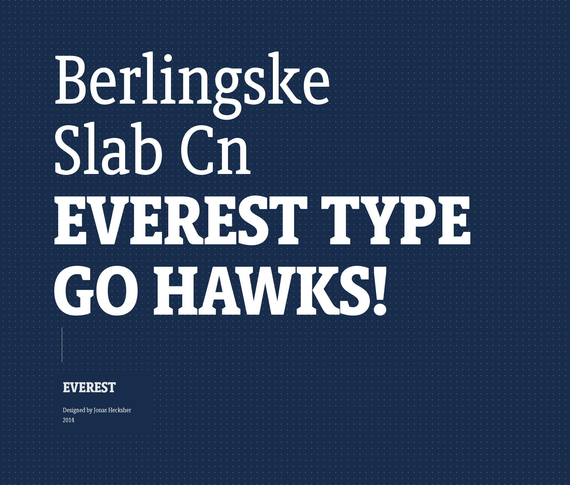Berlingske slab typeface used in Everest school institute brand identity