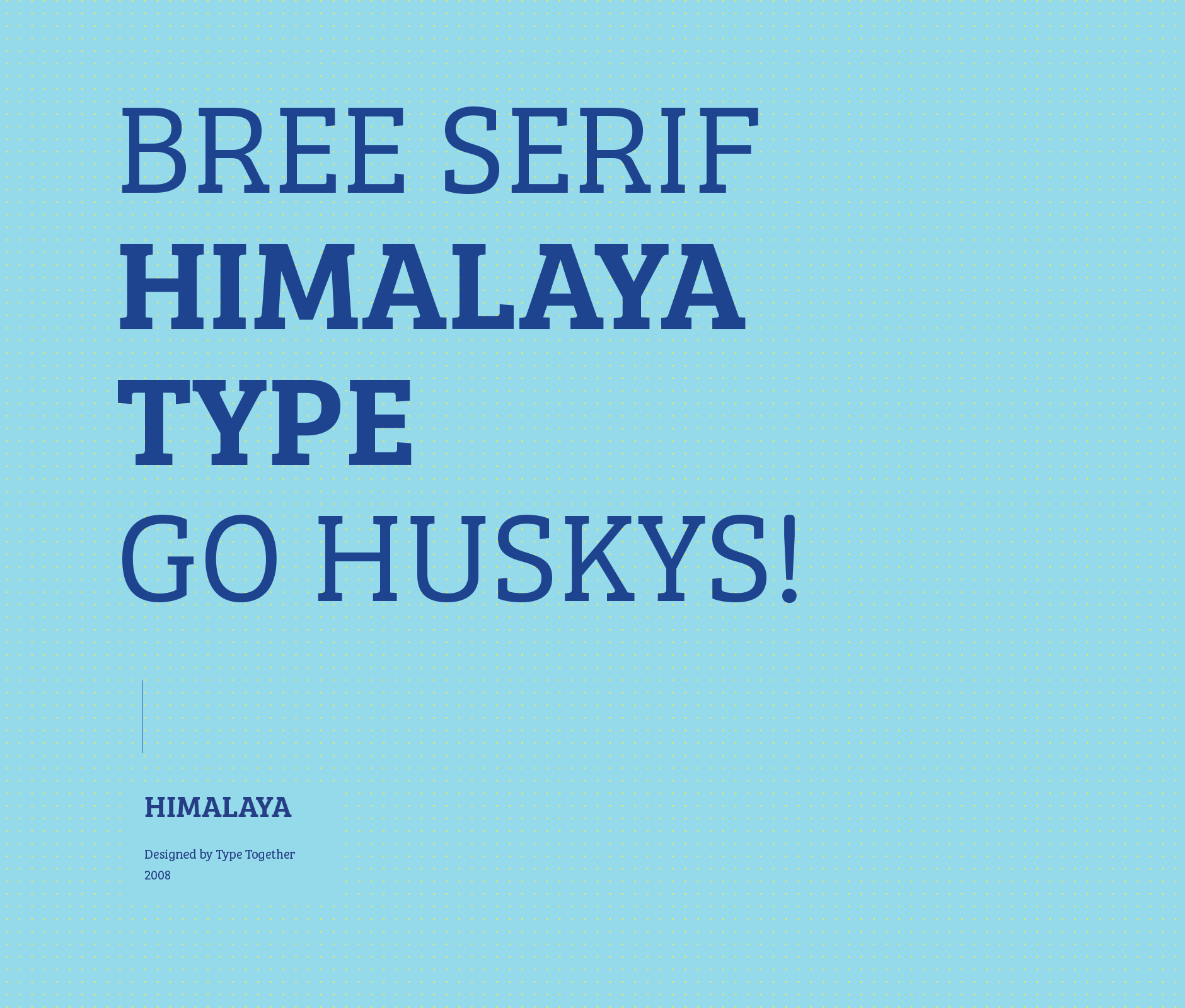 Bree Serif typeface used in Himalaya school institute brand identity
