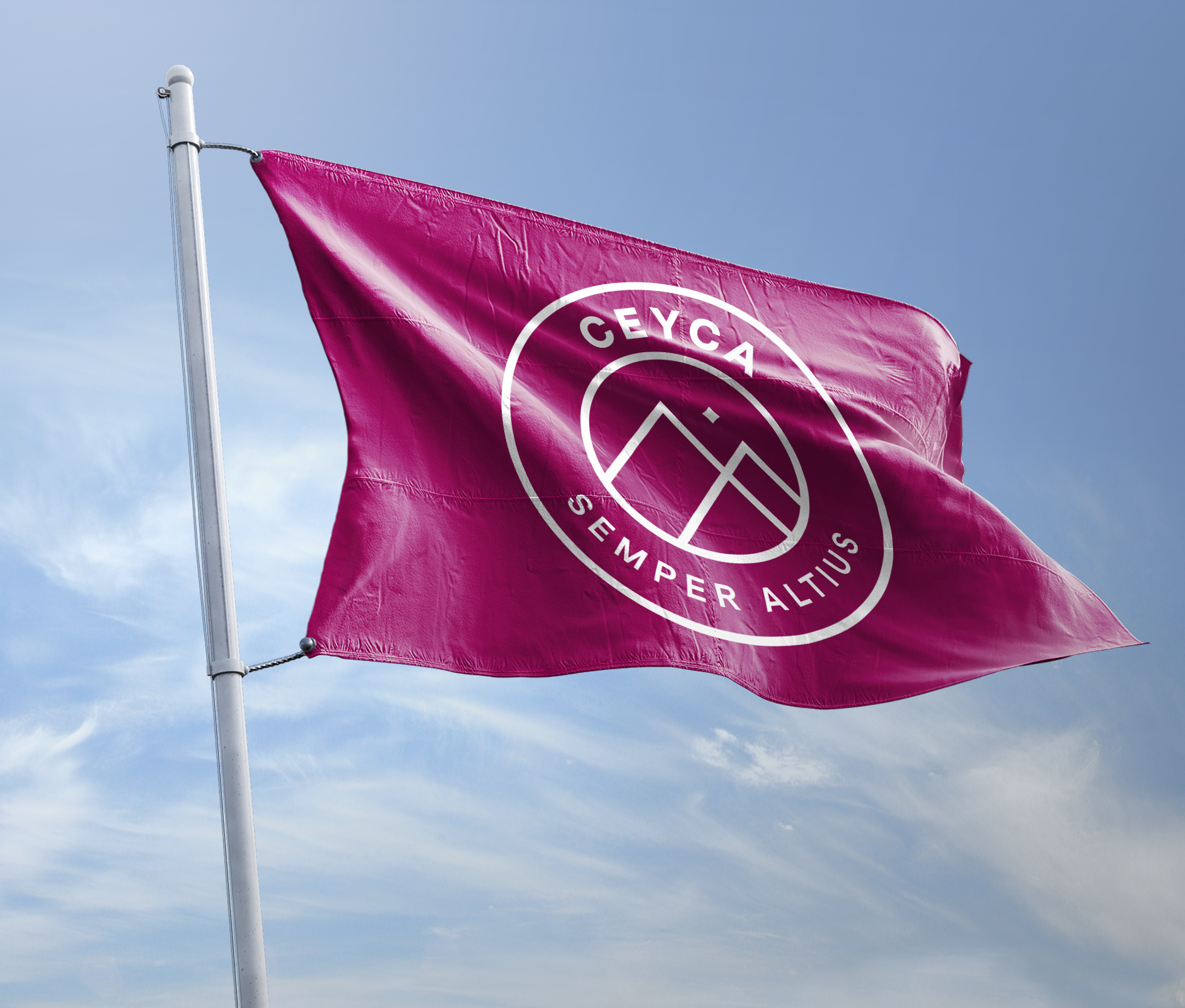 Ceyca school institute flag