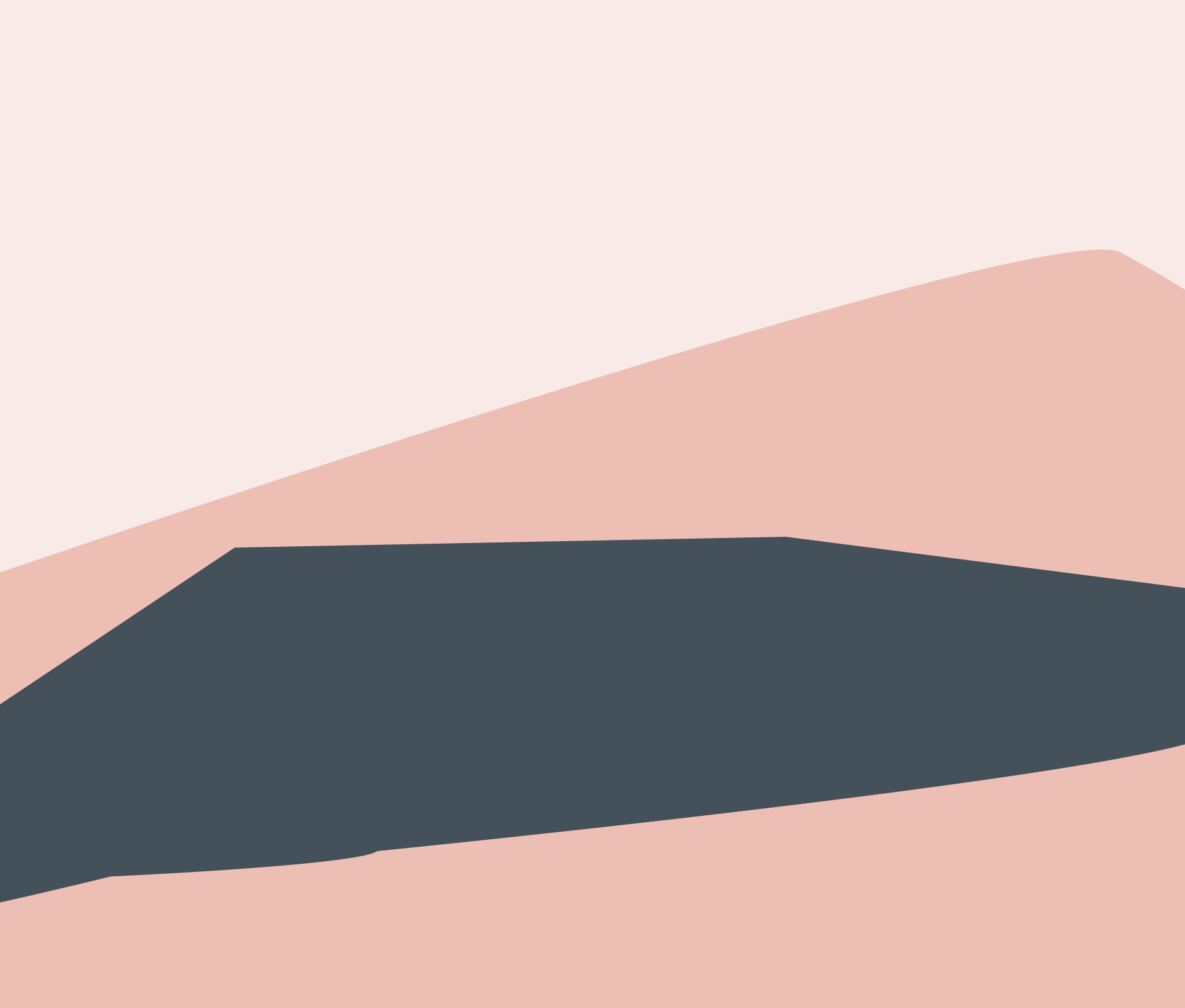 Design details for Hindie tea brand identity 