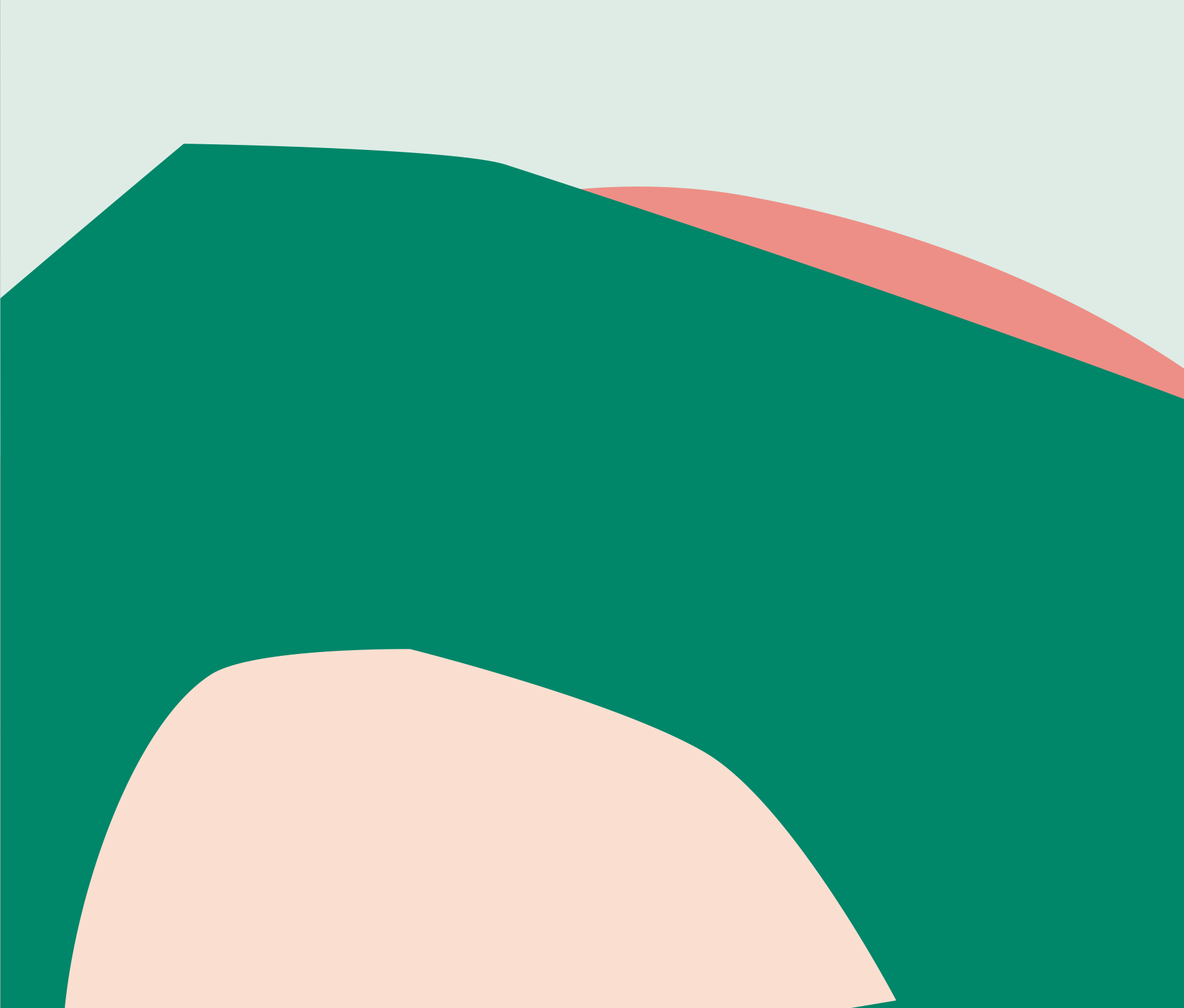 Design details for Hindie tea brand identity 