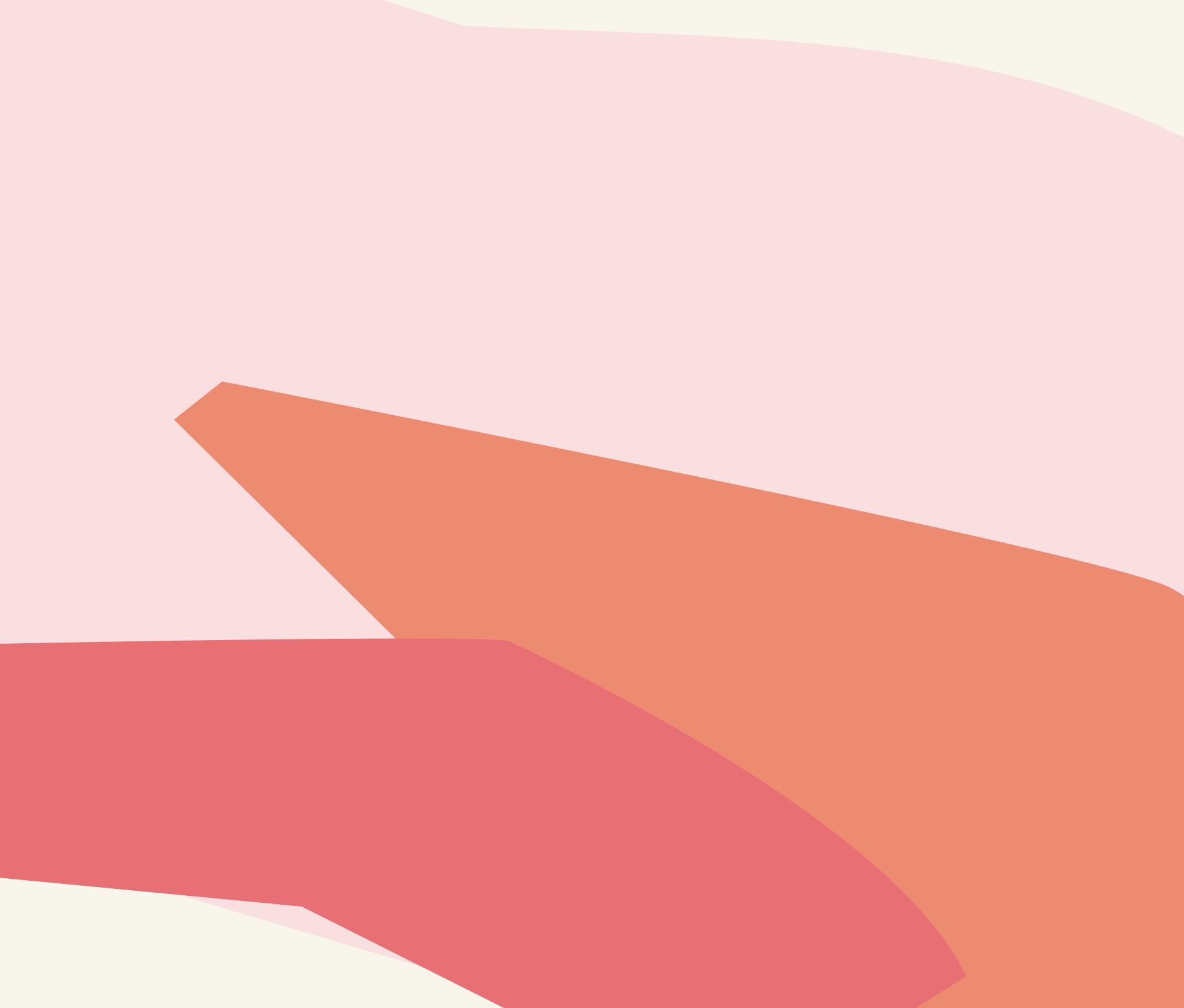 Design details for Hindie tea brand identity 