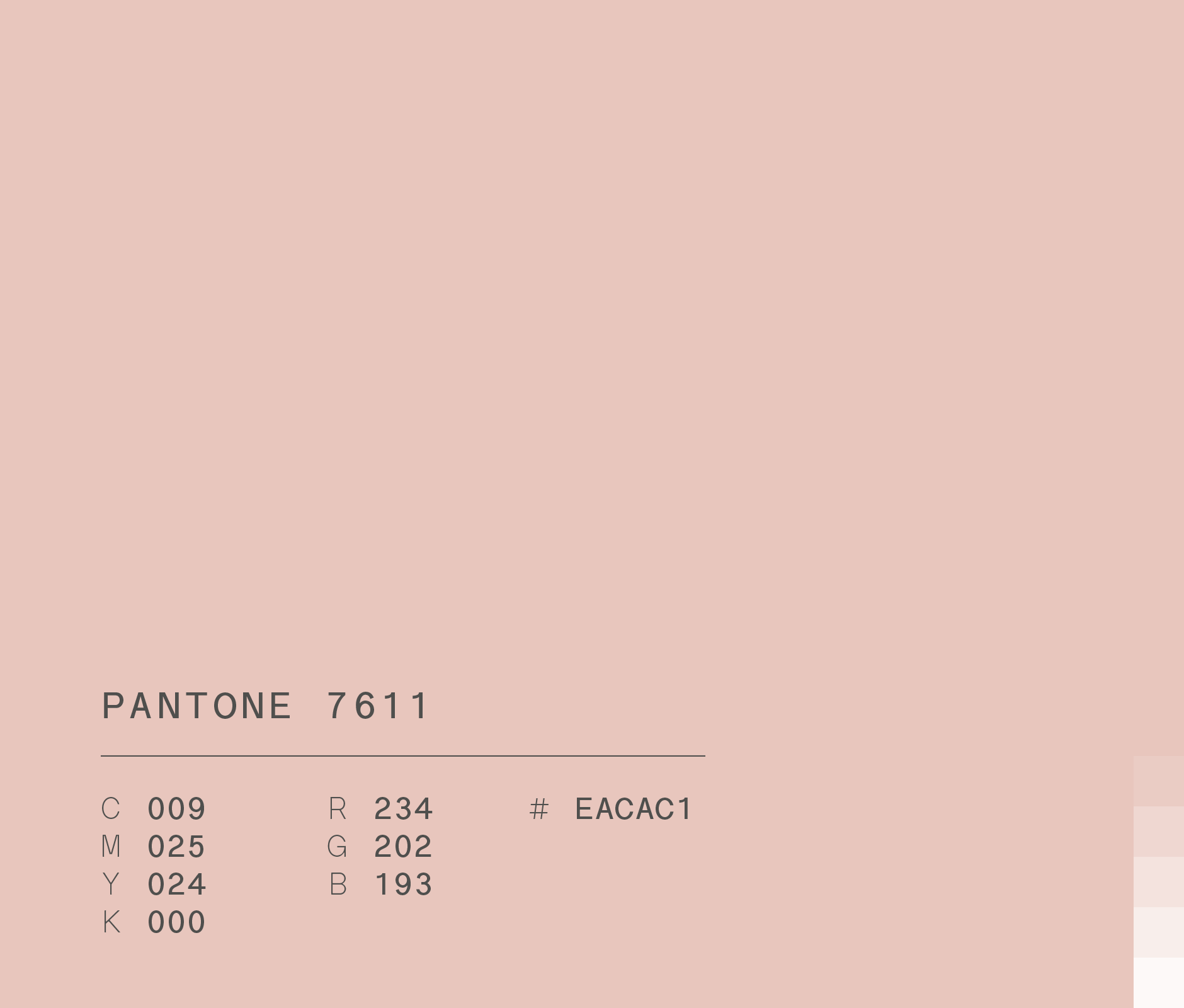 Pantone 7611 (#EACAC1) used for hindie tea rebranding