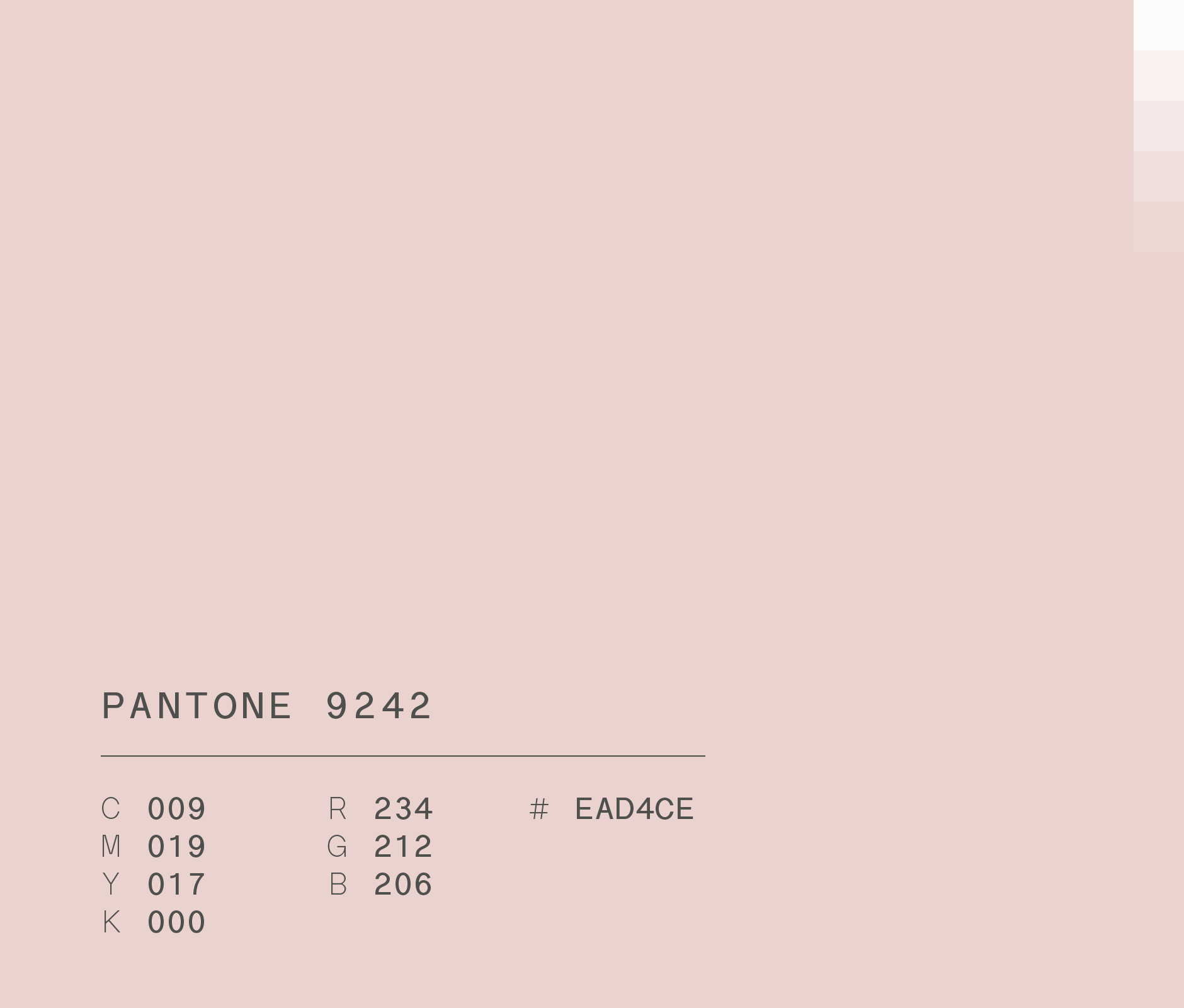Pantone 9242 (#EAD4CE) used for hindie tea rebranding