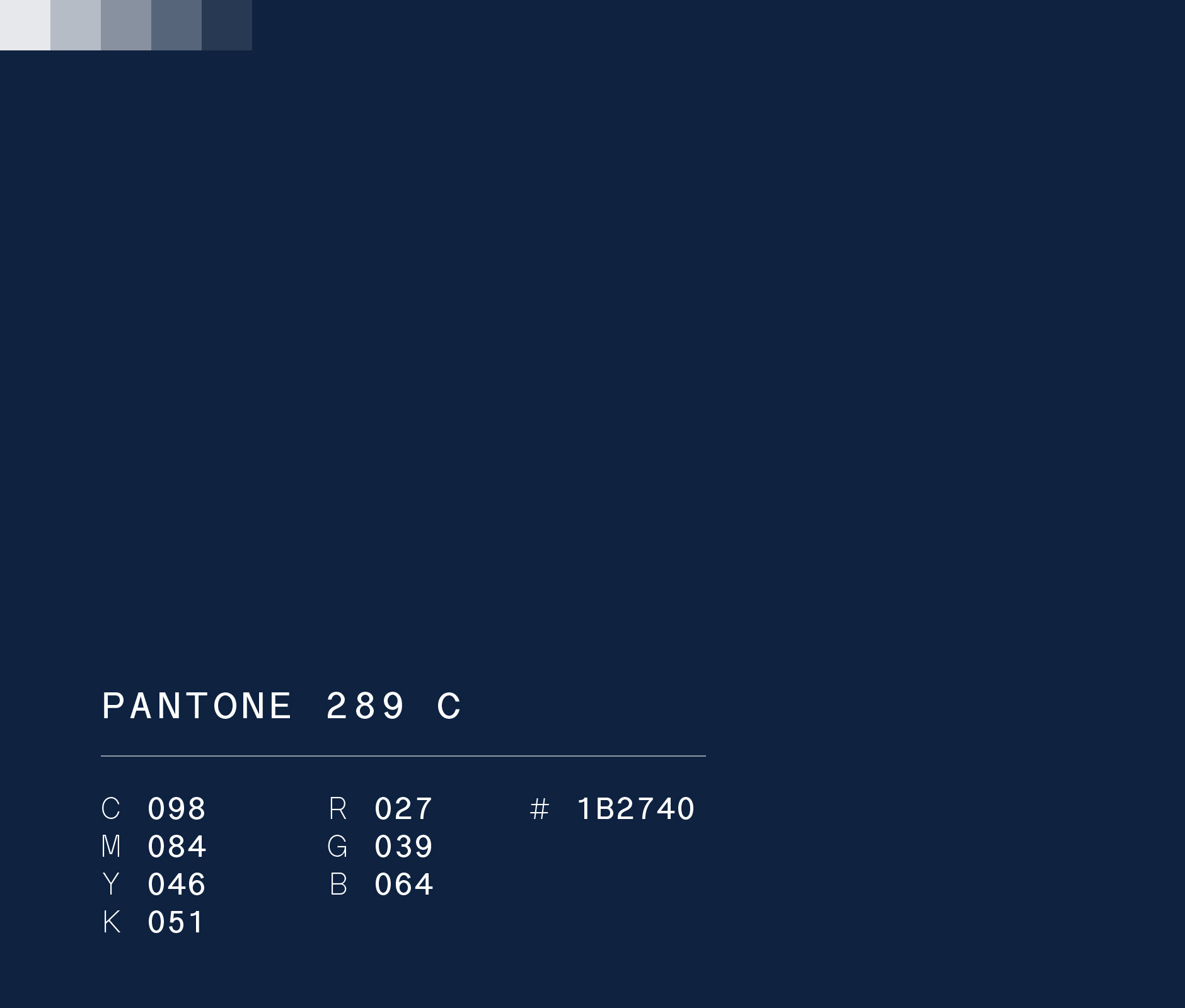 Pantone 289 #1B2740  Rayados signature blue