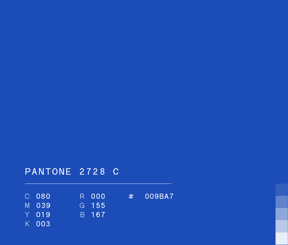 Pantone 2728 c 
