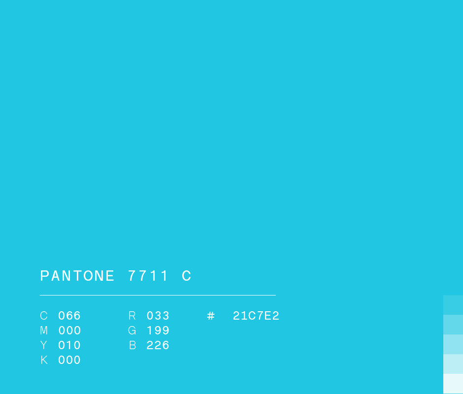 Pantone 7711 c used in Pigmentocracia brand identity